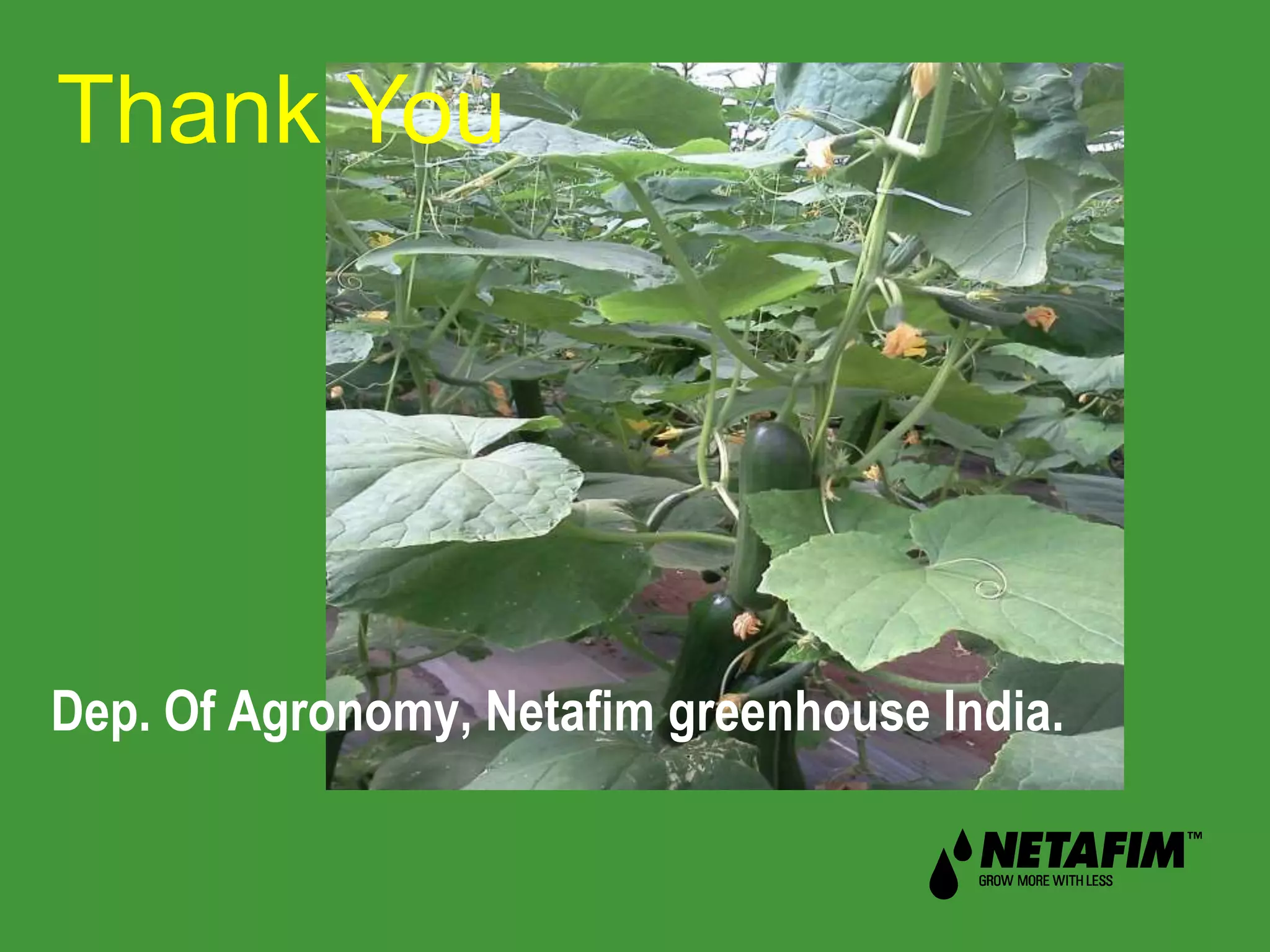 Slide 10