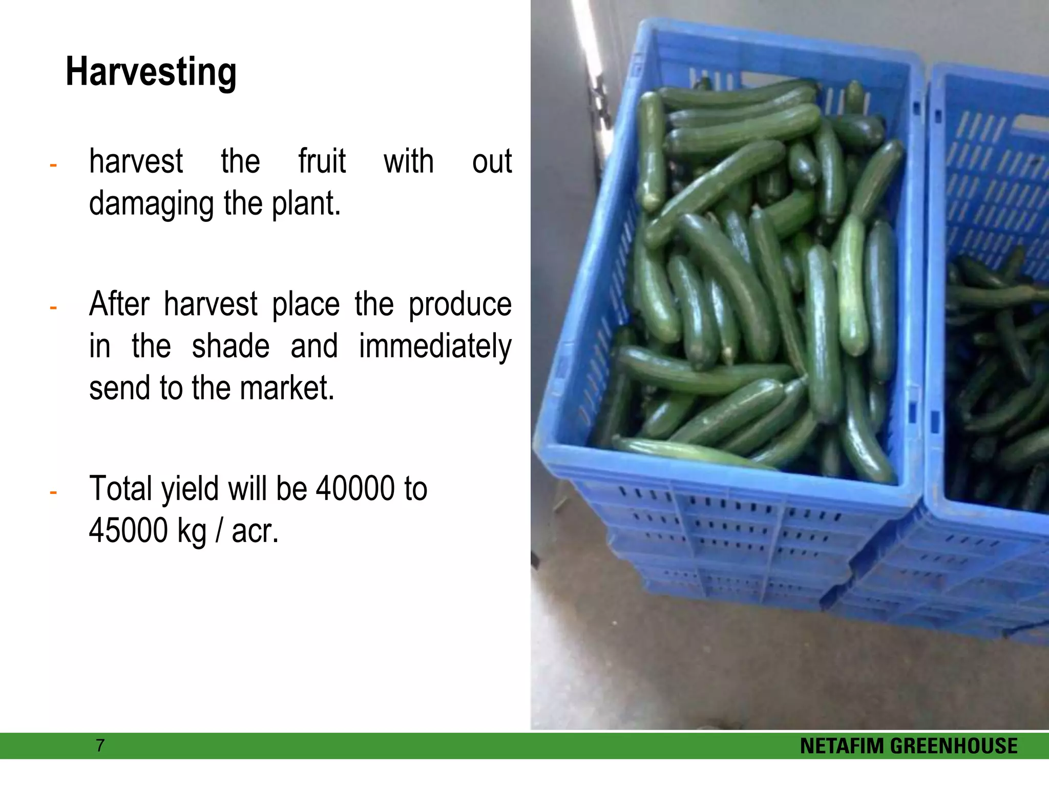 Slide 6