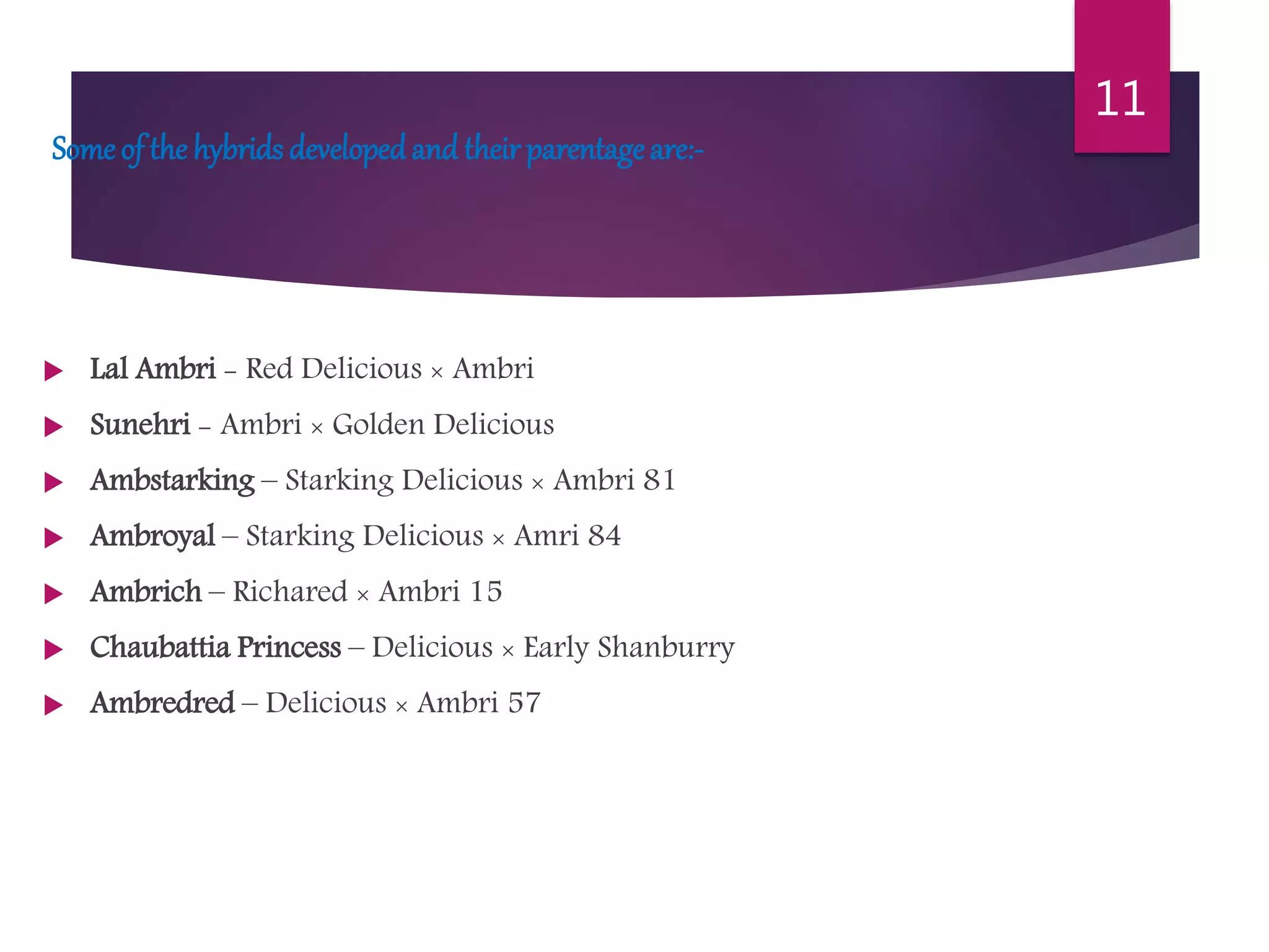 Slide 10