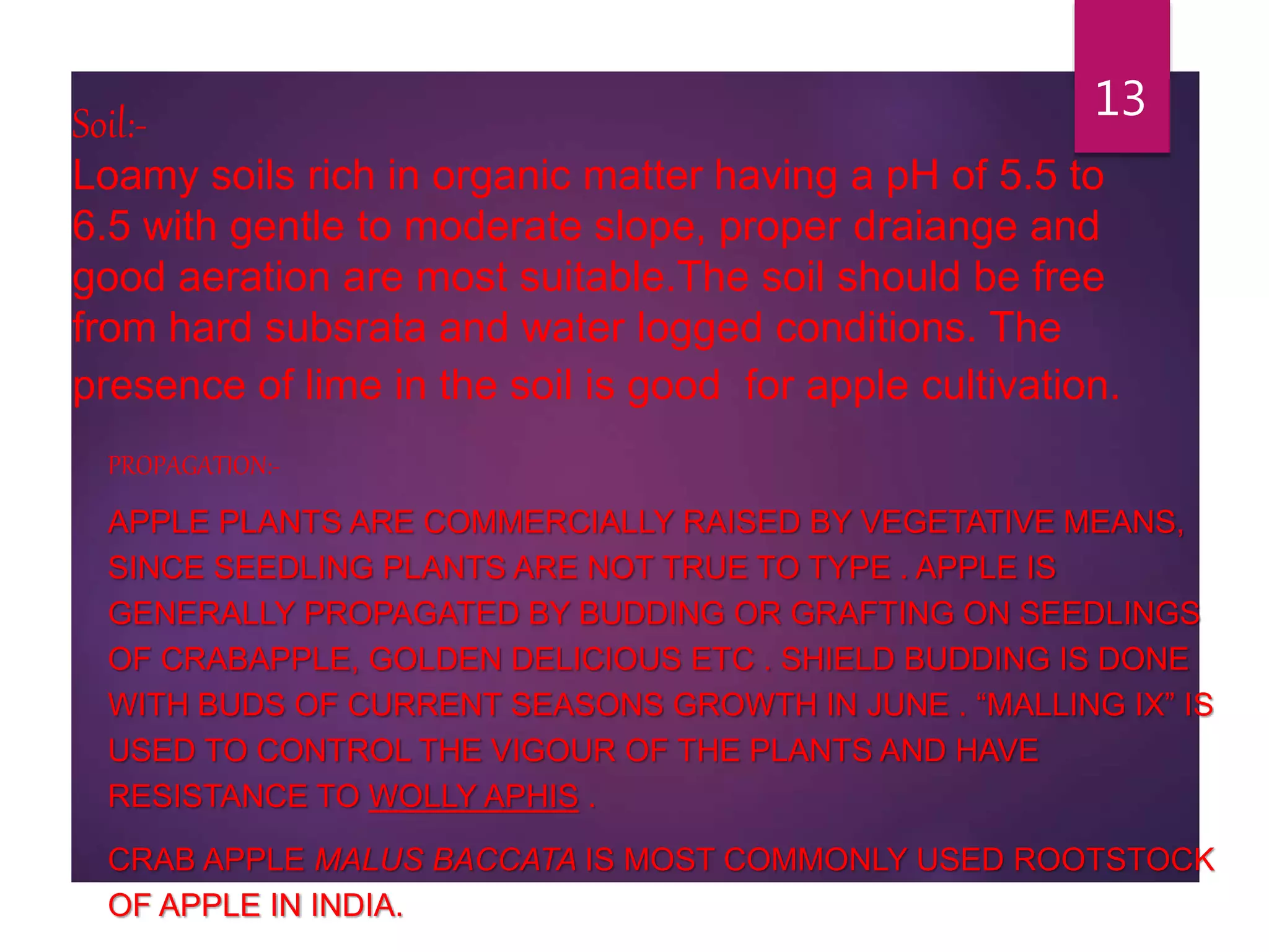 Slide 12