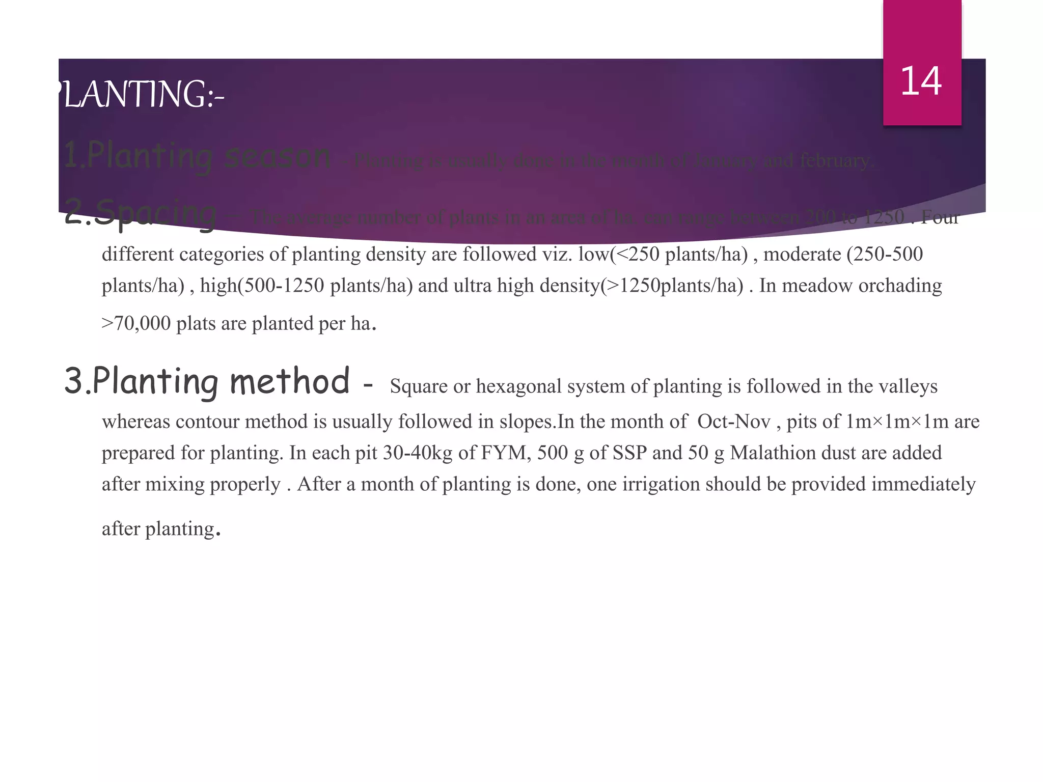 Slide 13