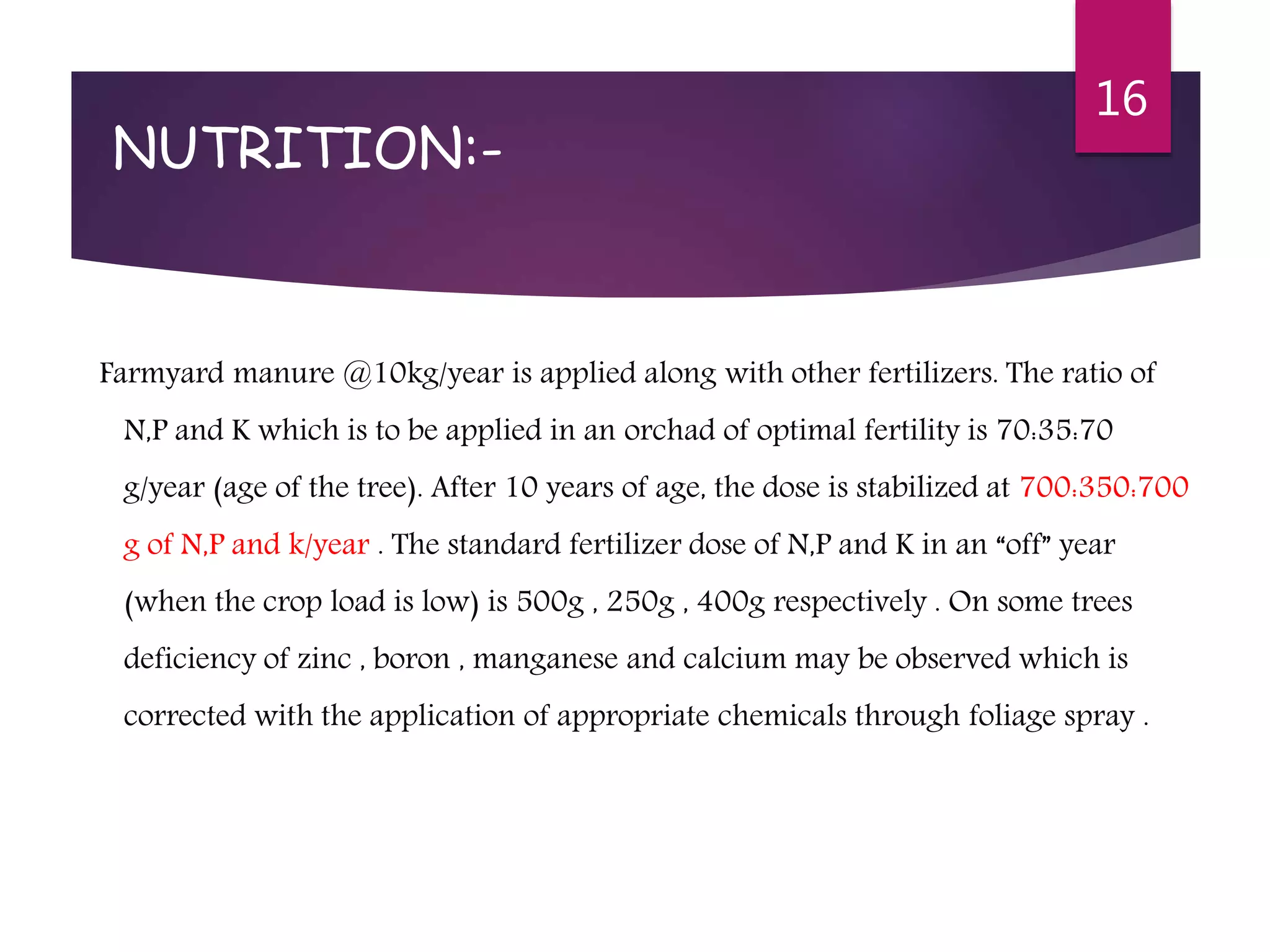Slide 15