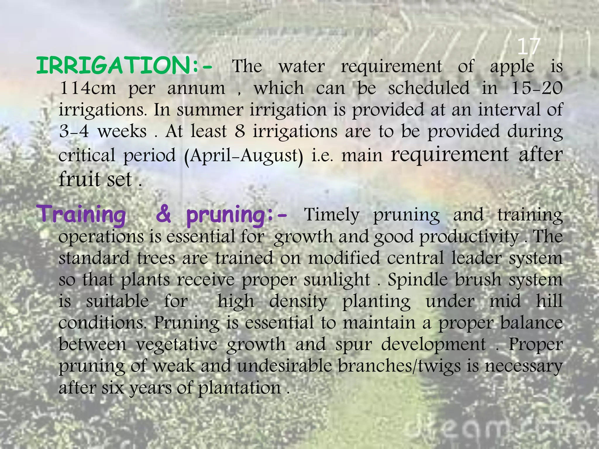 Slide 16