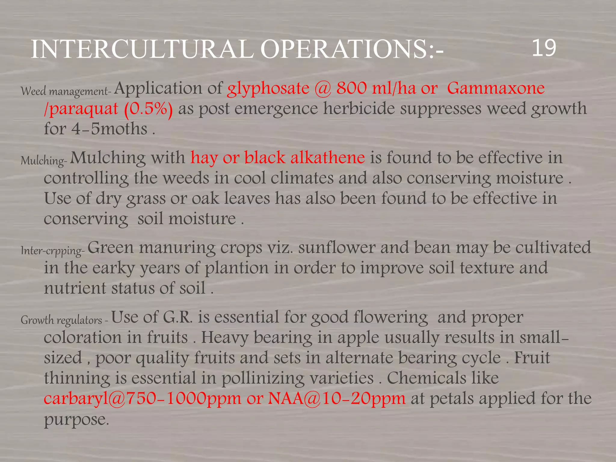 Slide 18