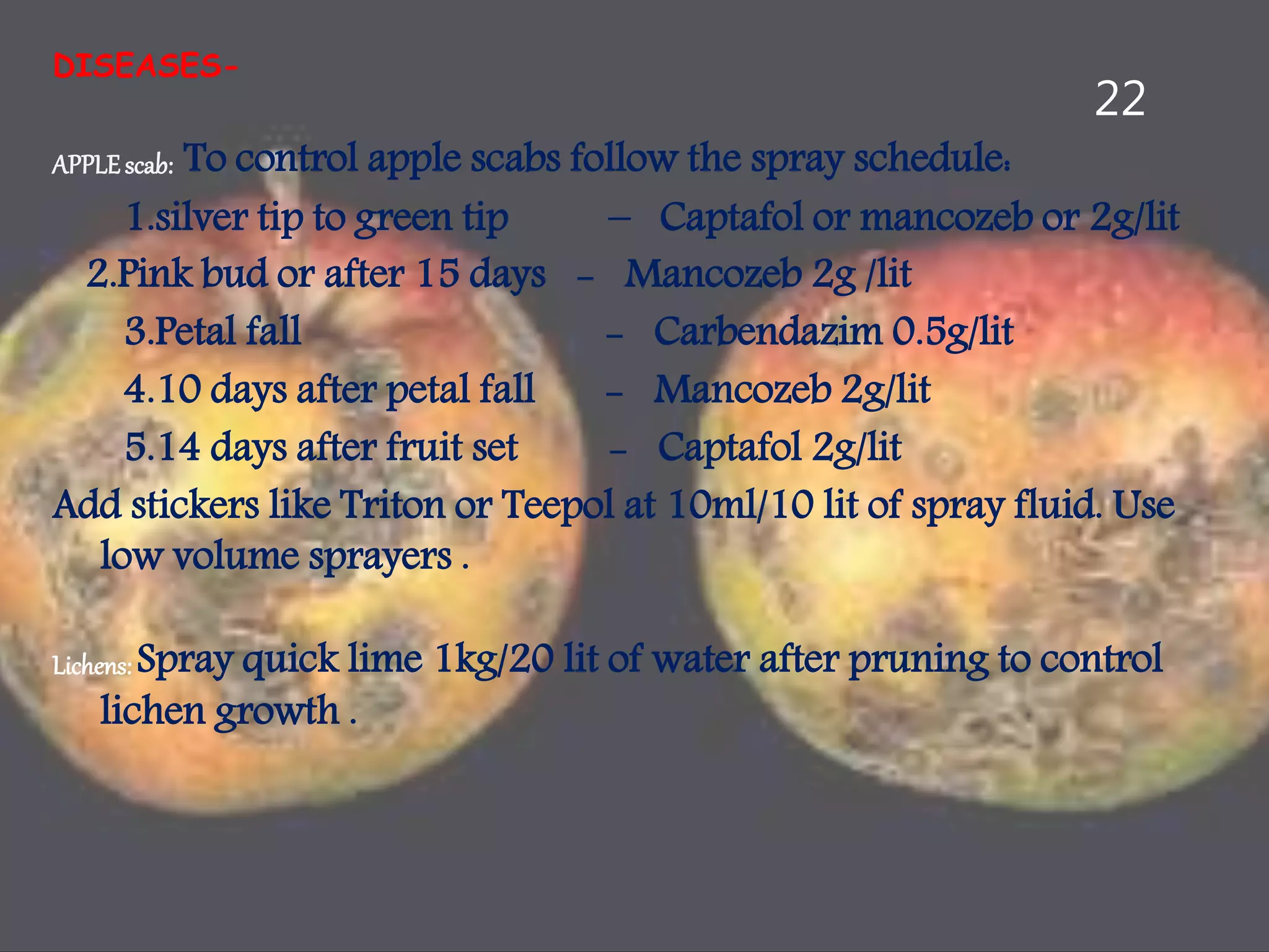 Slide 21