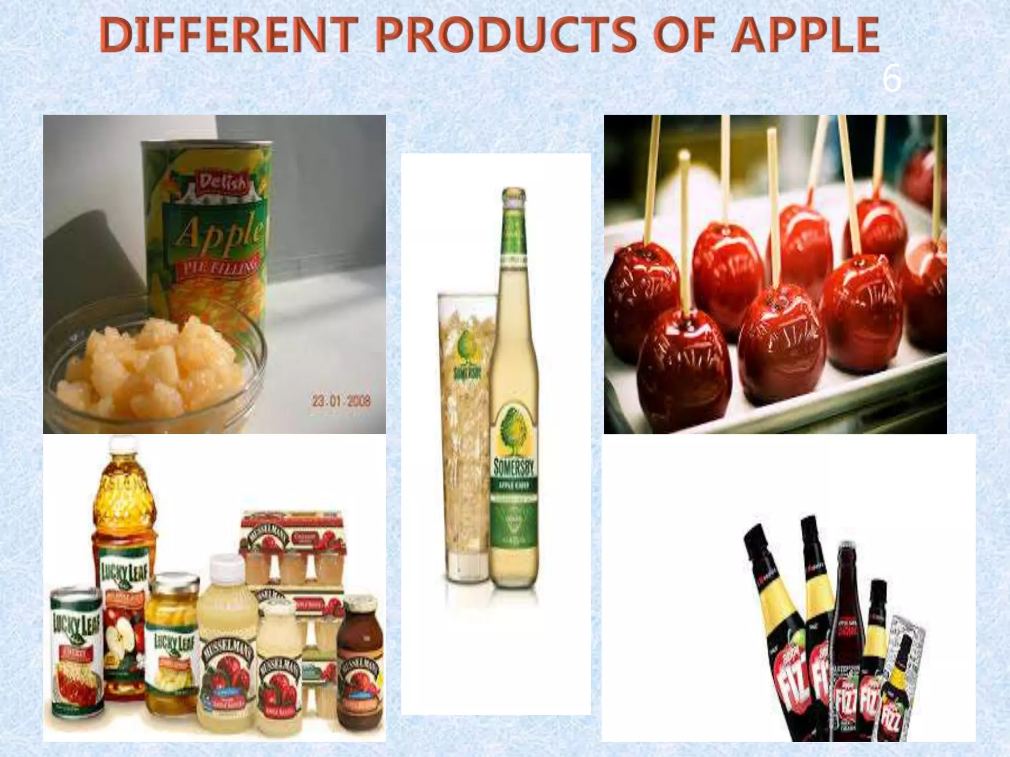 Slide 5