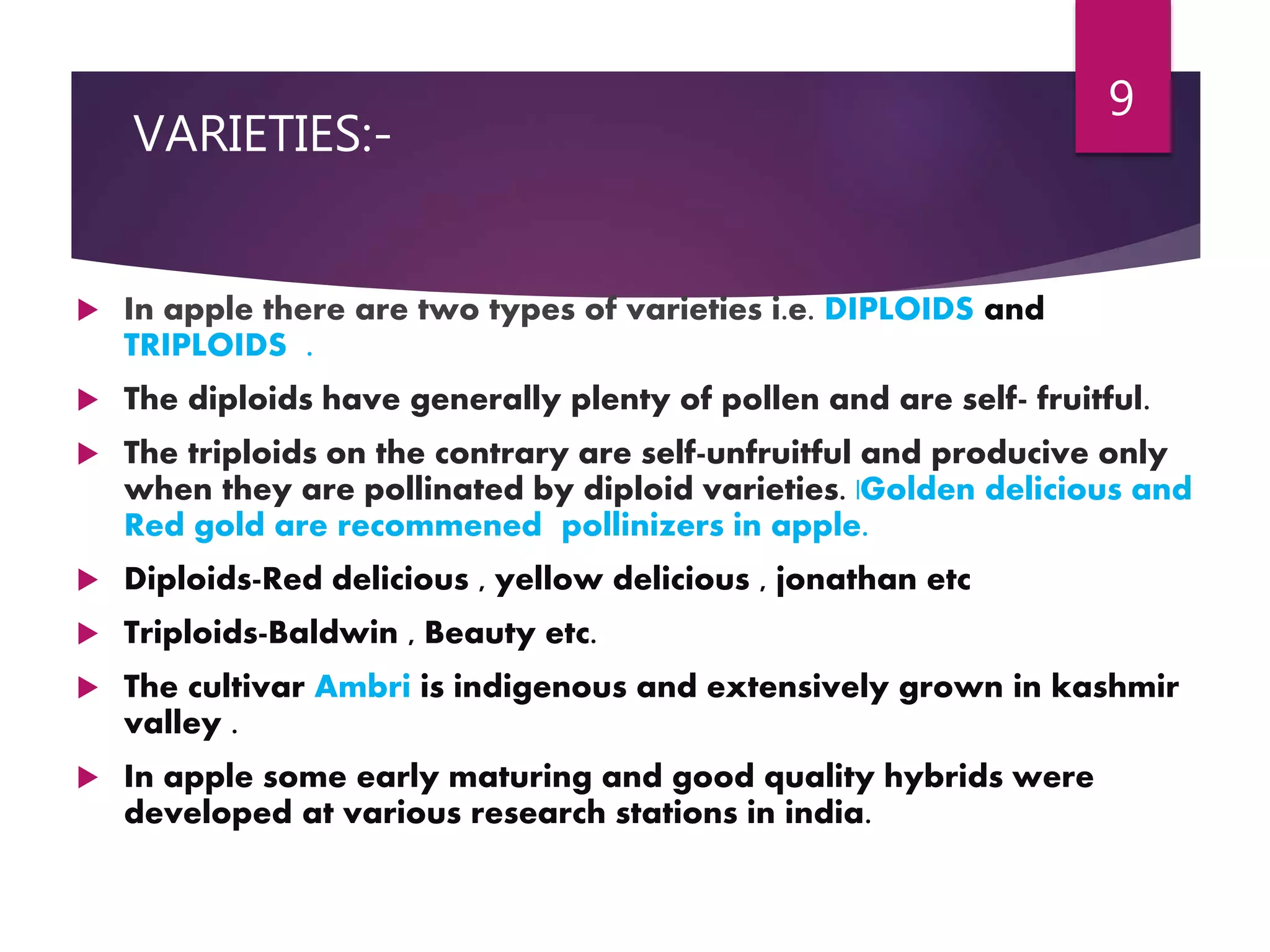 Slide 8