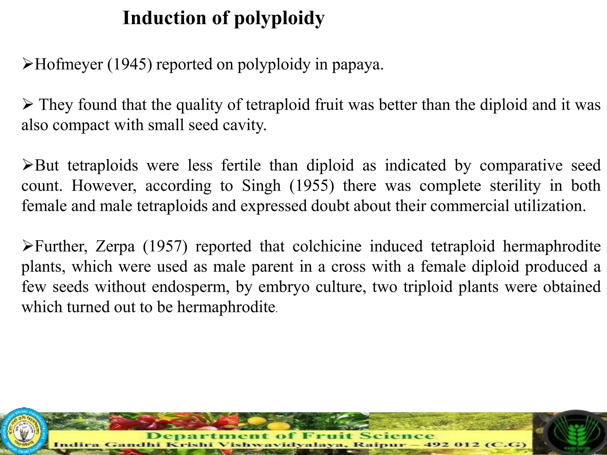 Slide 13