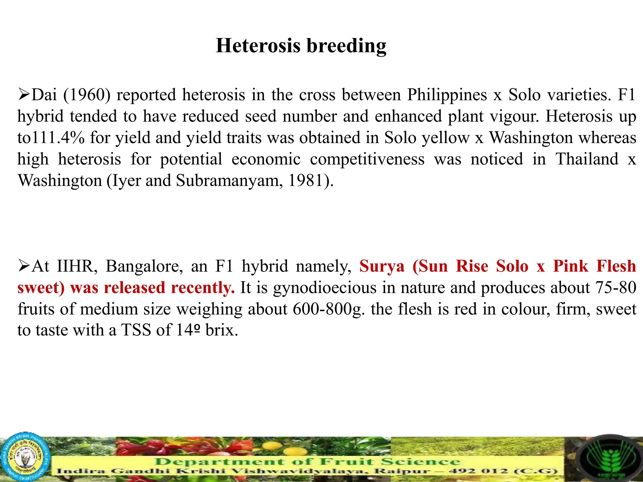 Slide 14