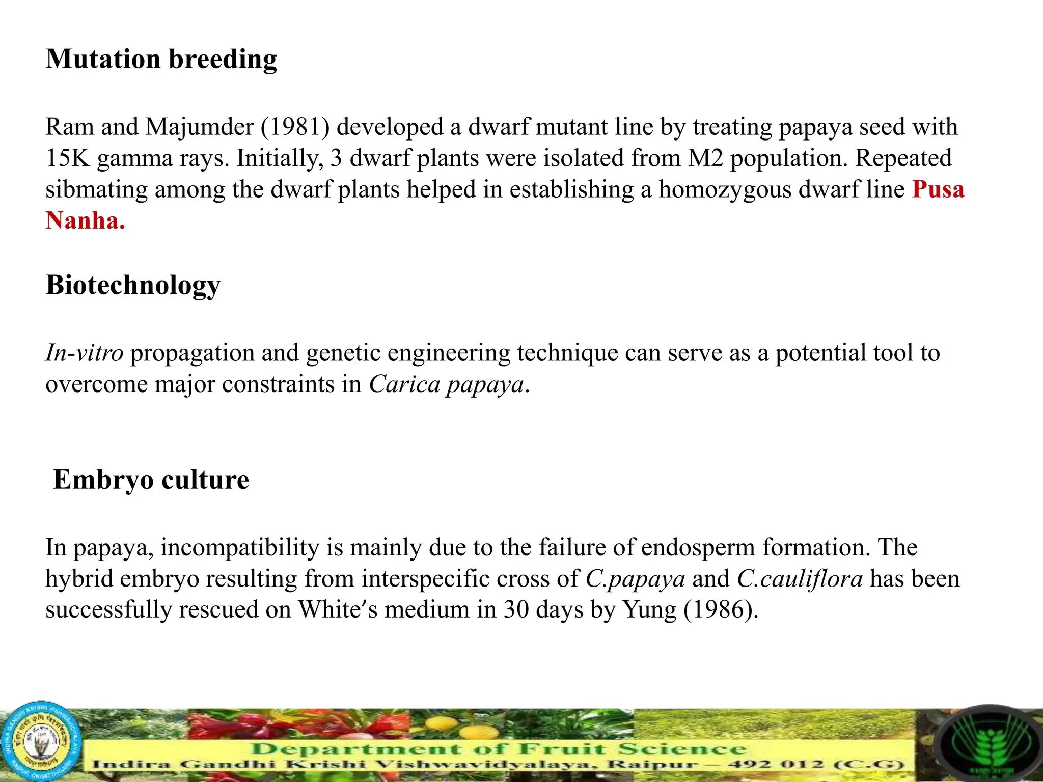 Slide 15