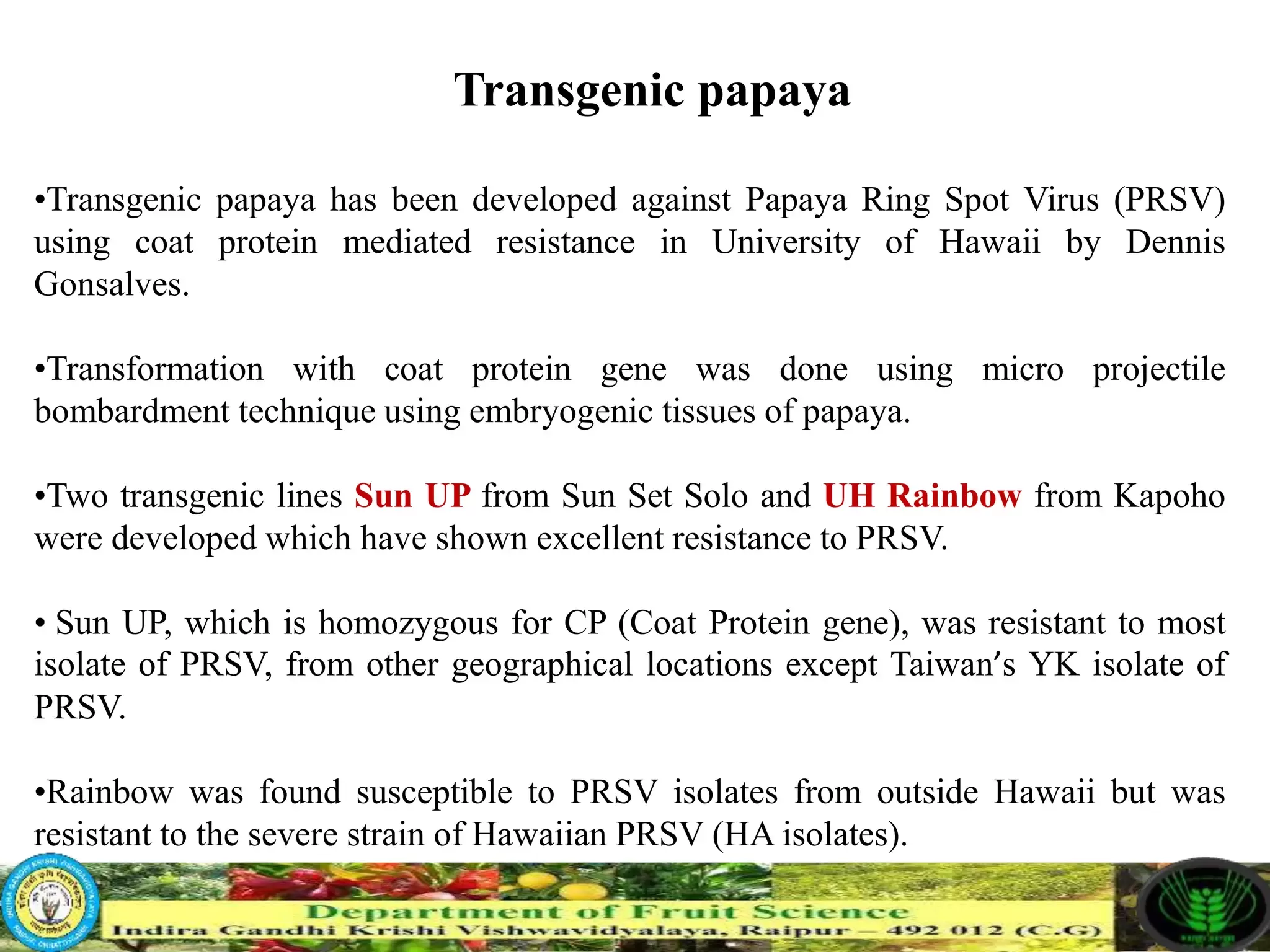 Slide 16
