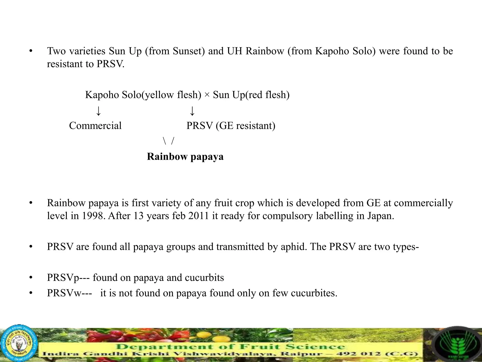 Slide 17