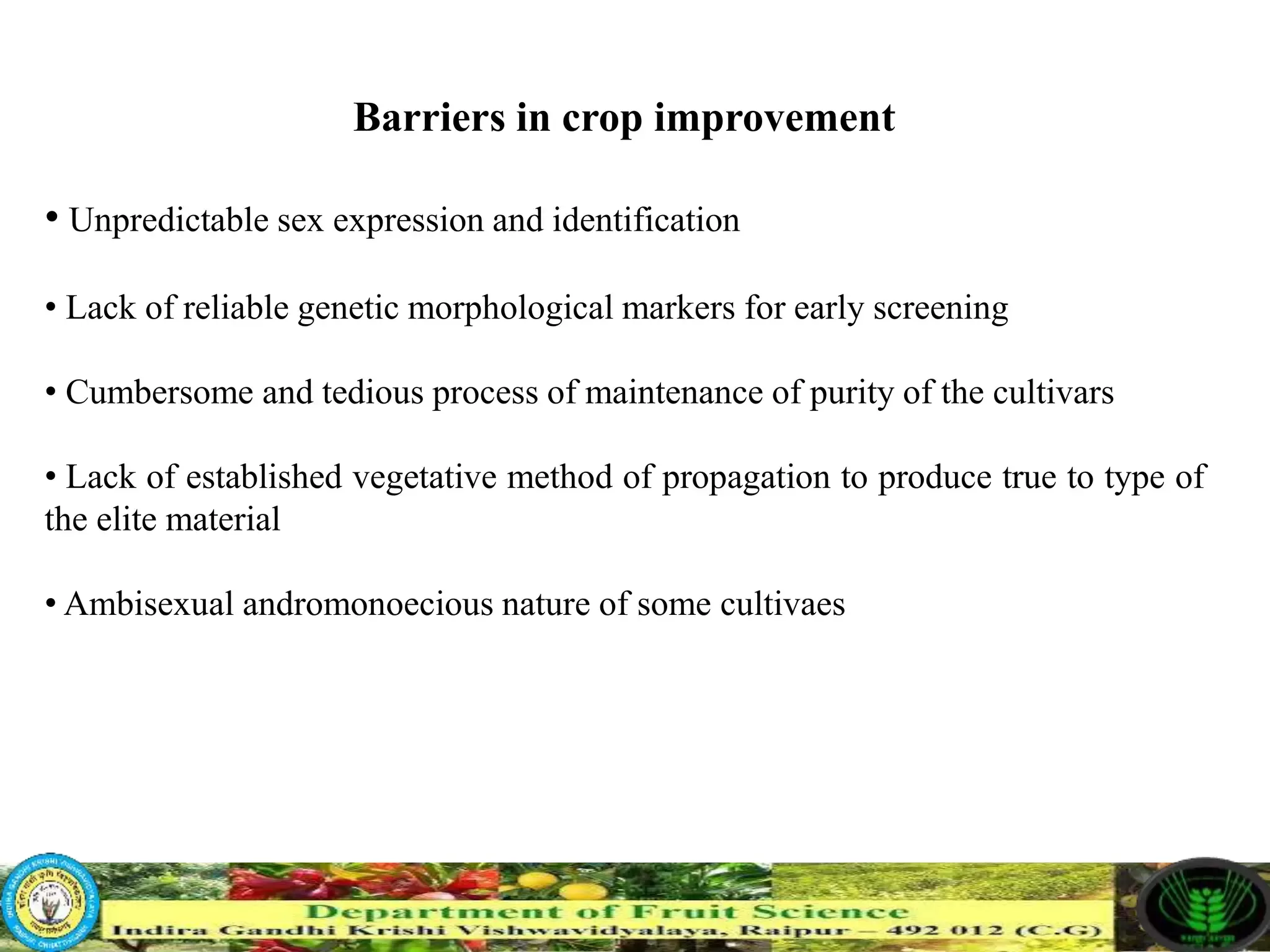 Slide 19