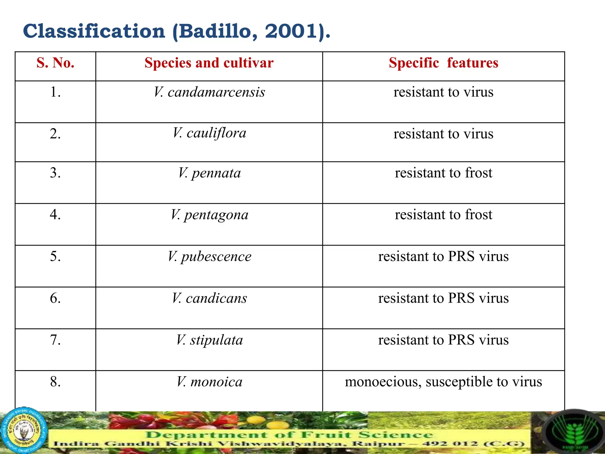 Slide 6