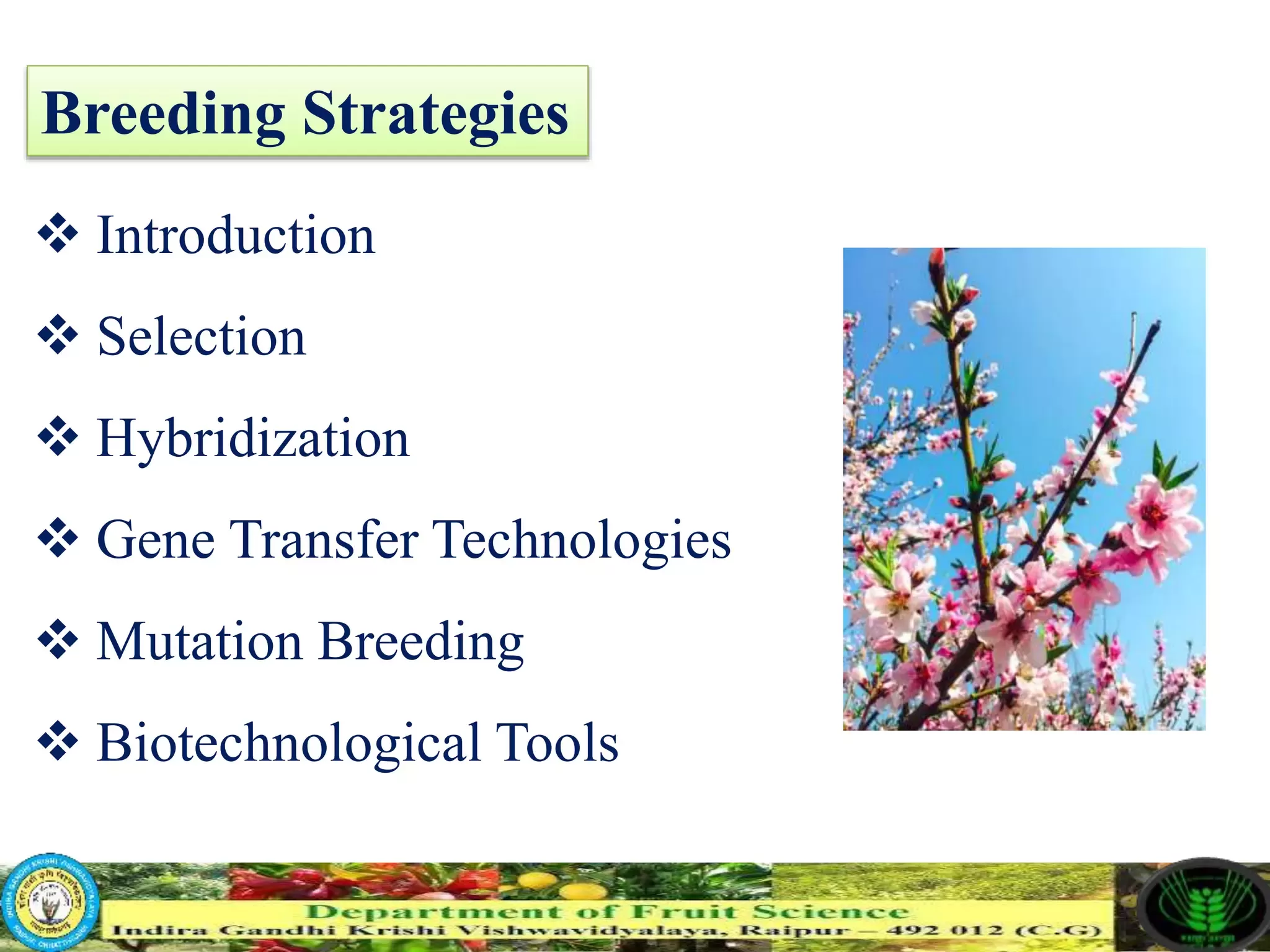 Slide 9