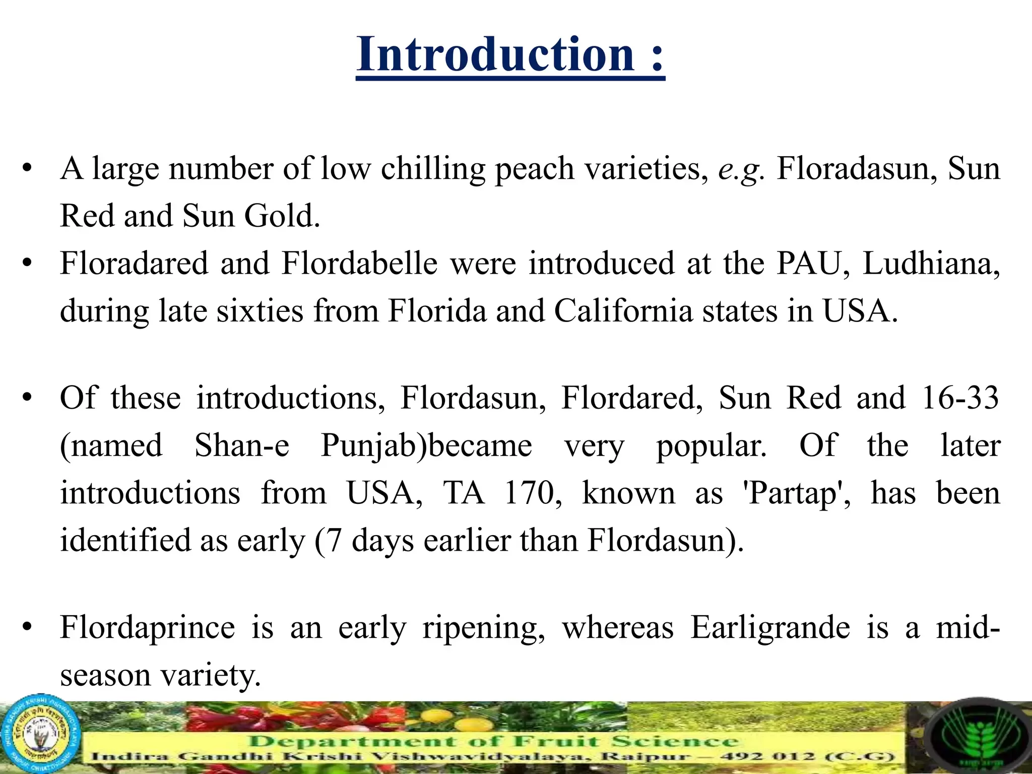 Slide 10