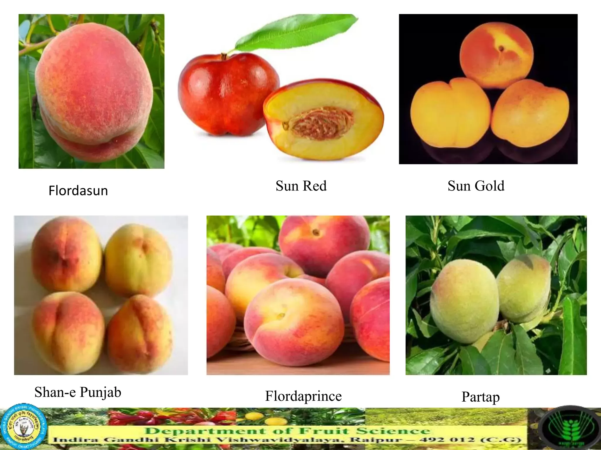 Slide 11
