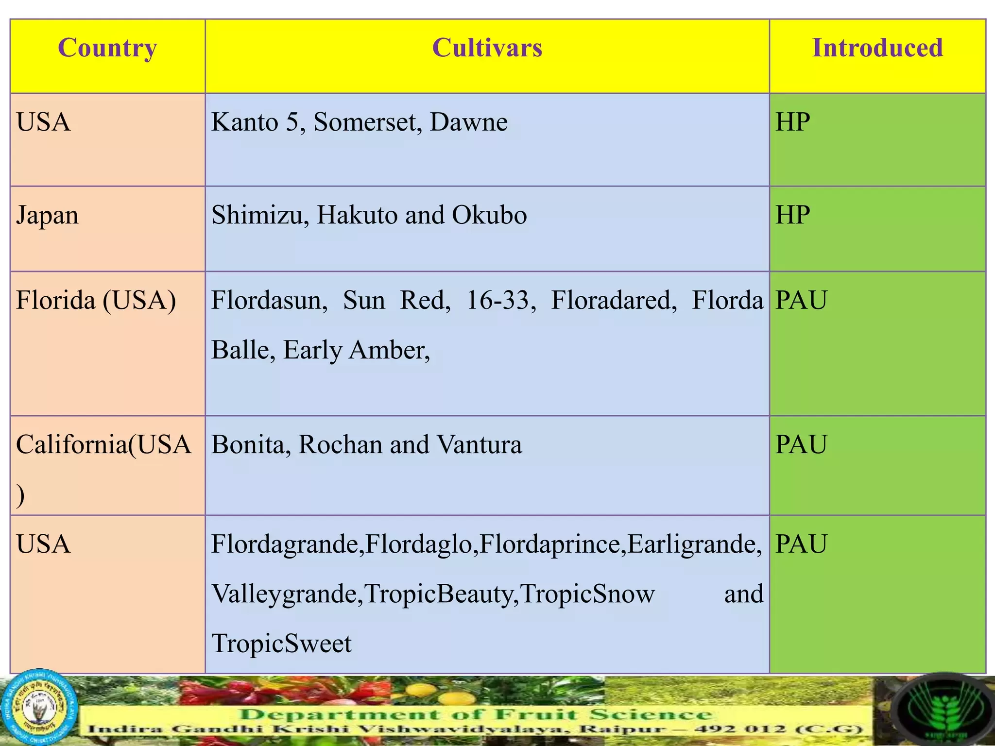Slide 12