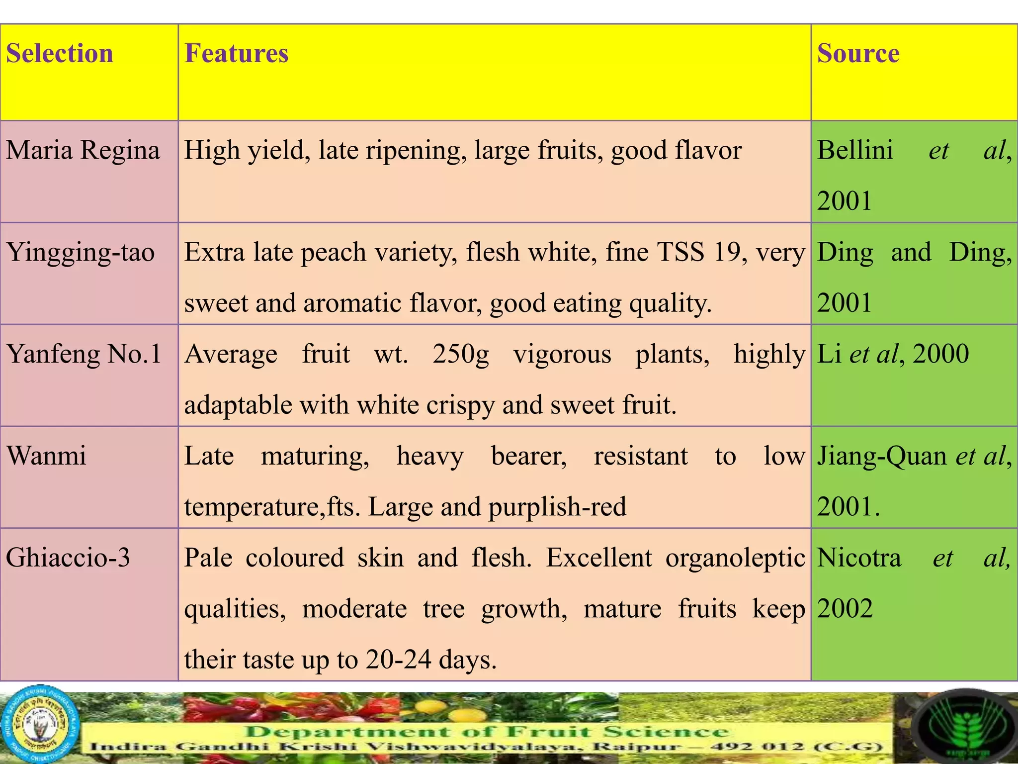 Slide 13