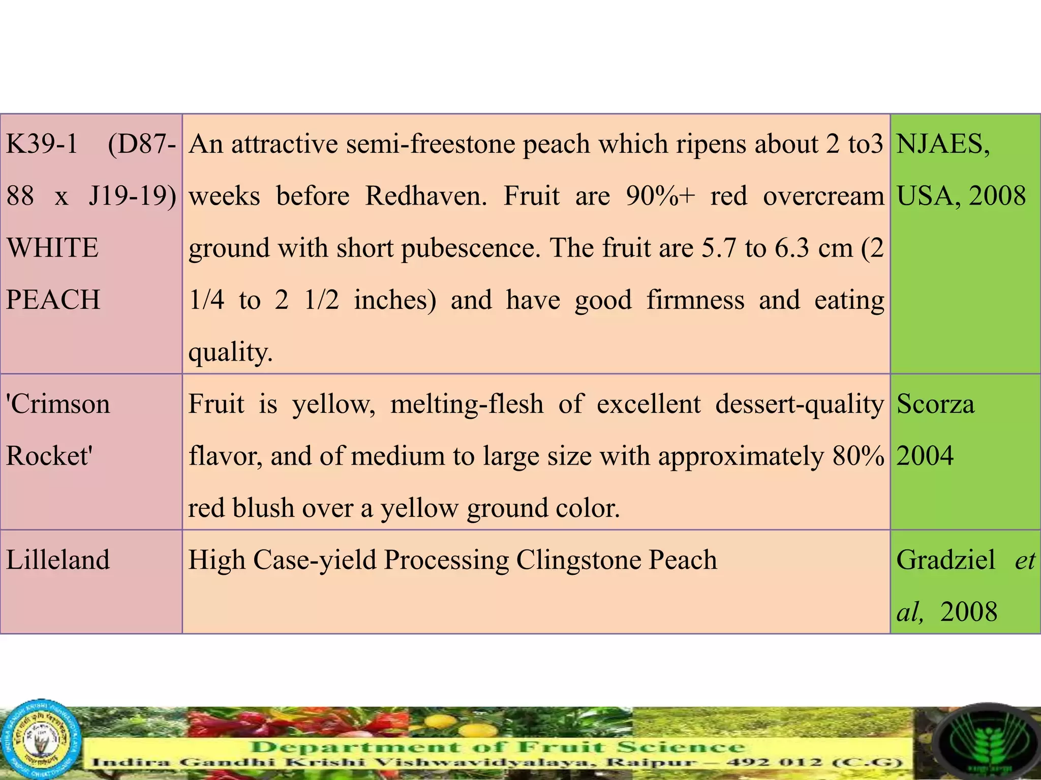 Slide 14