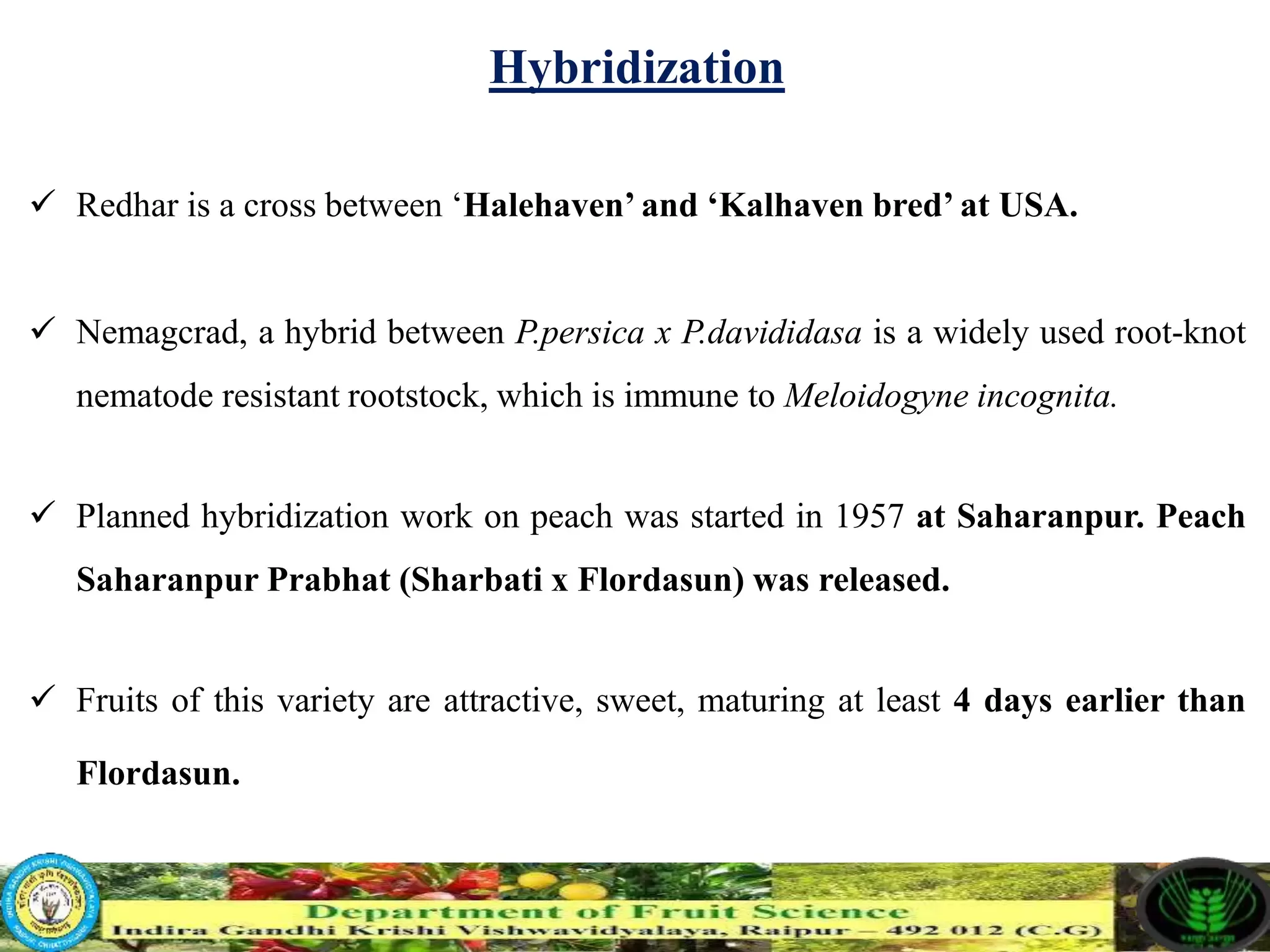 Slide 15