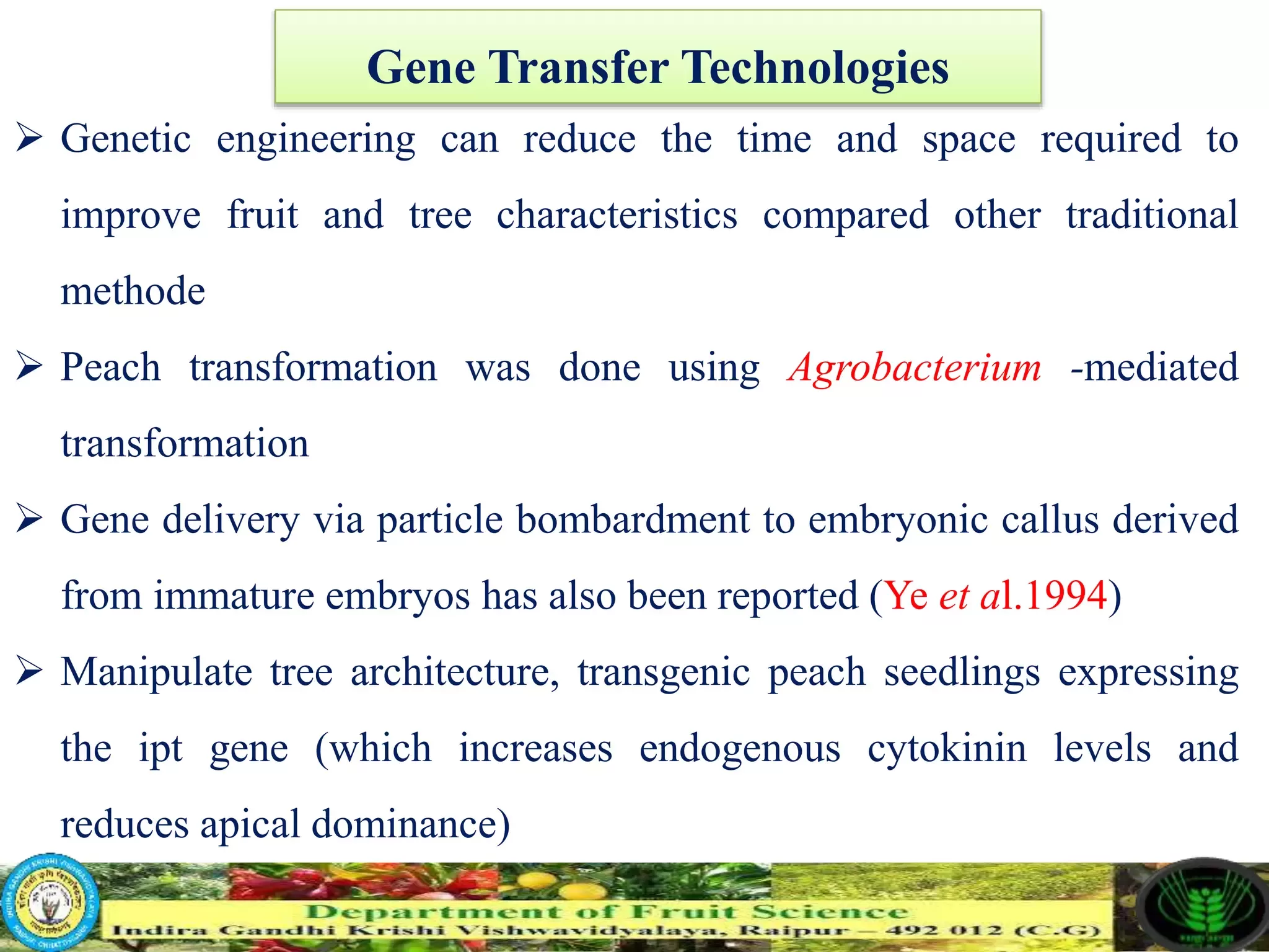 Slide 18