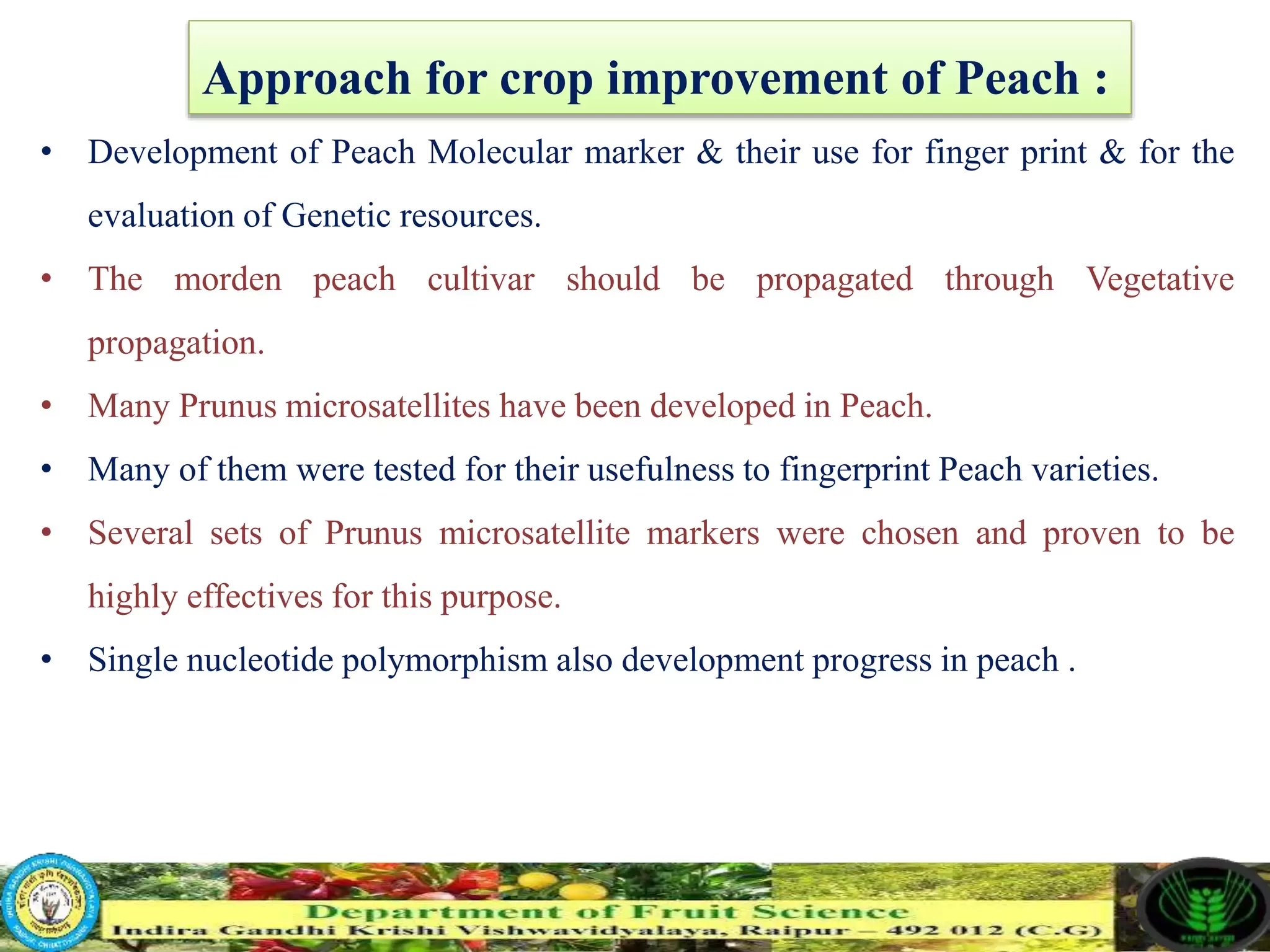 Slide 19