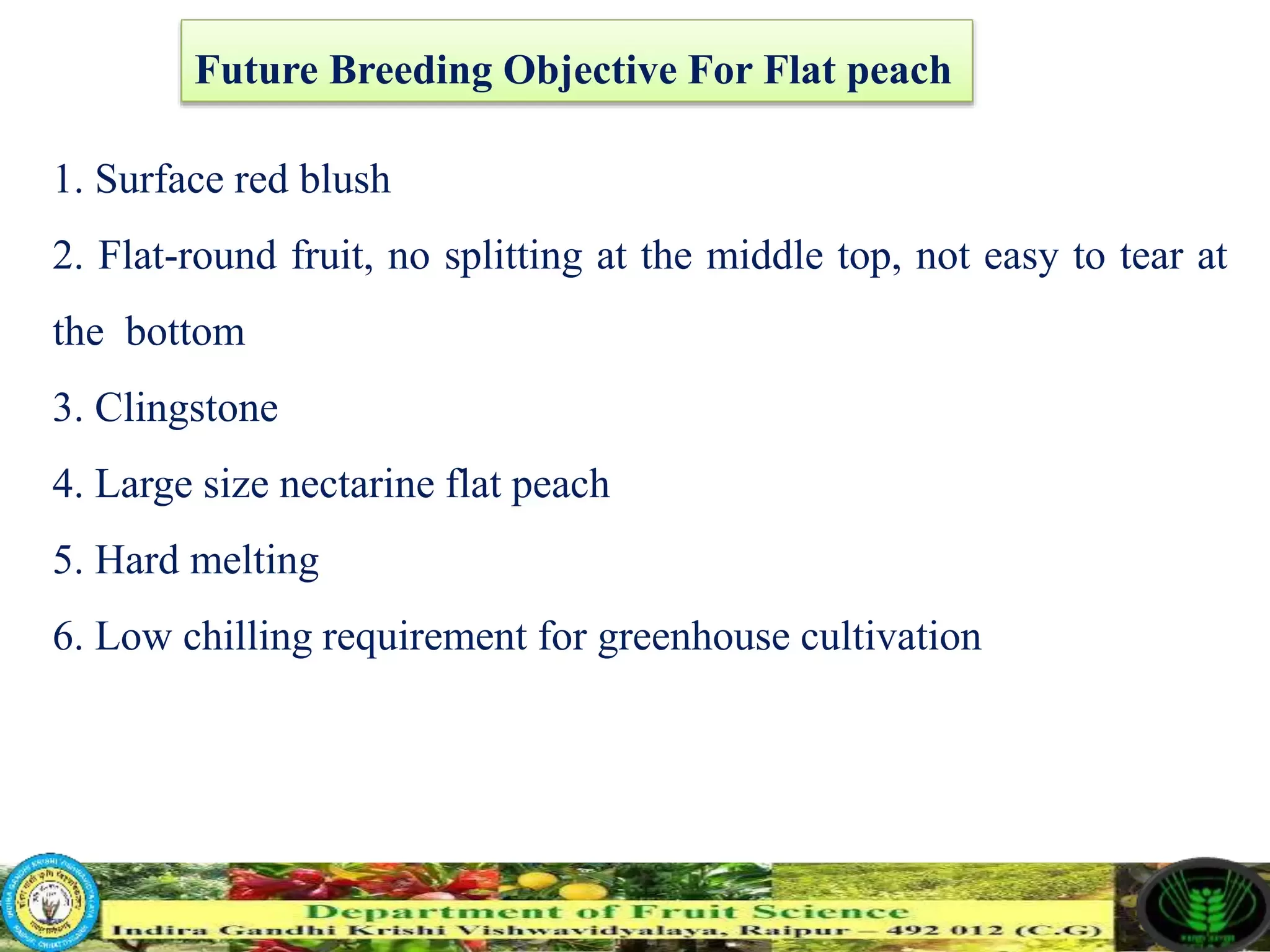 Slide 21