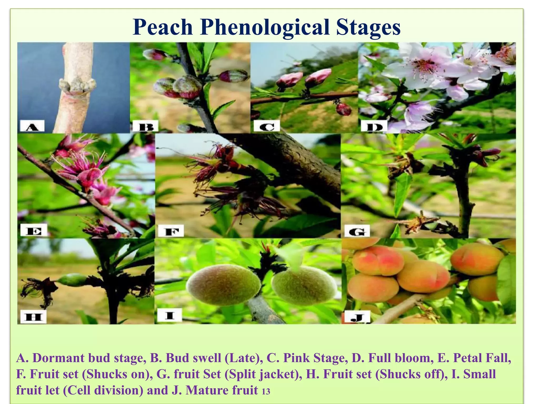 Slide 6