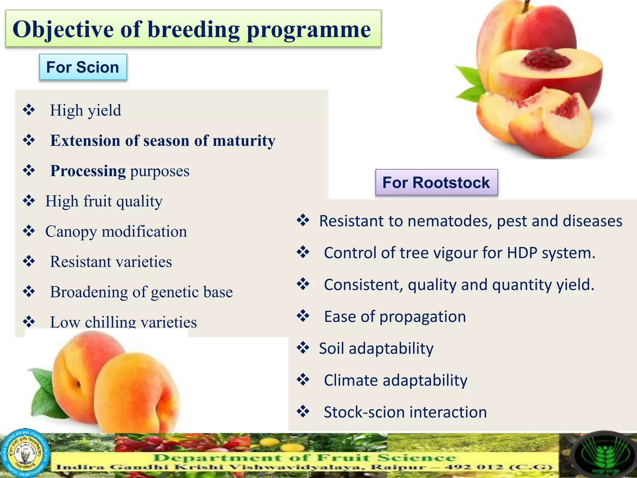 Slide 7