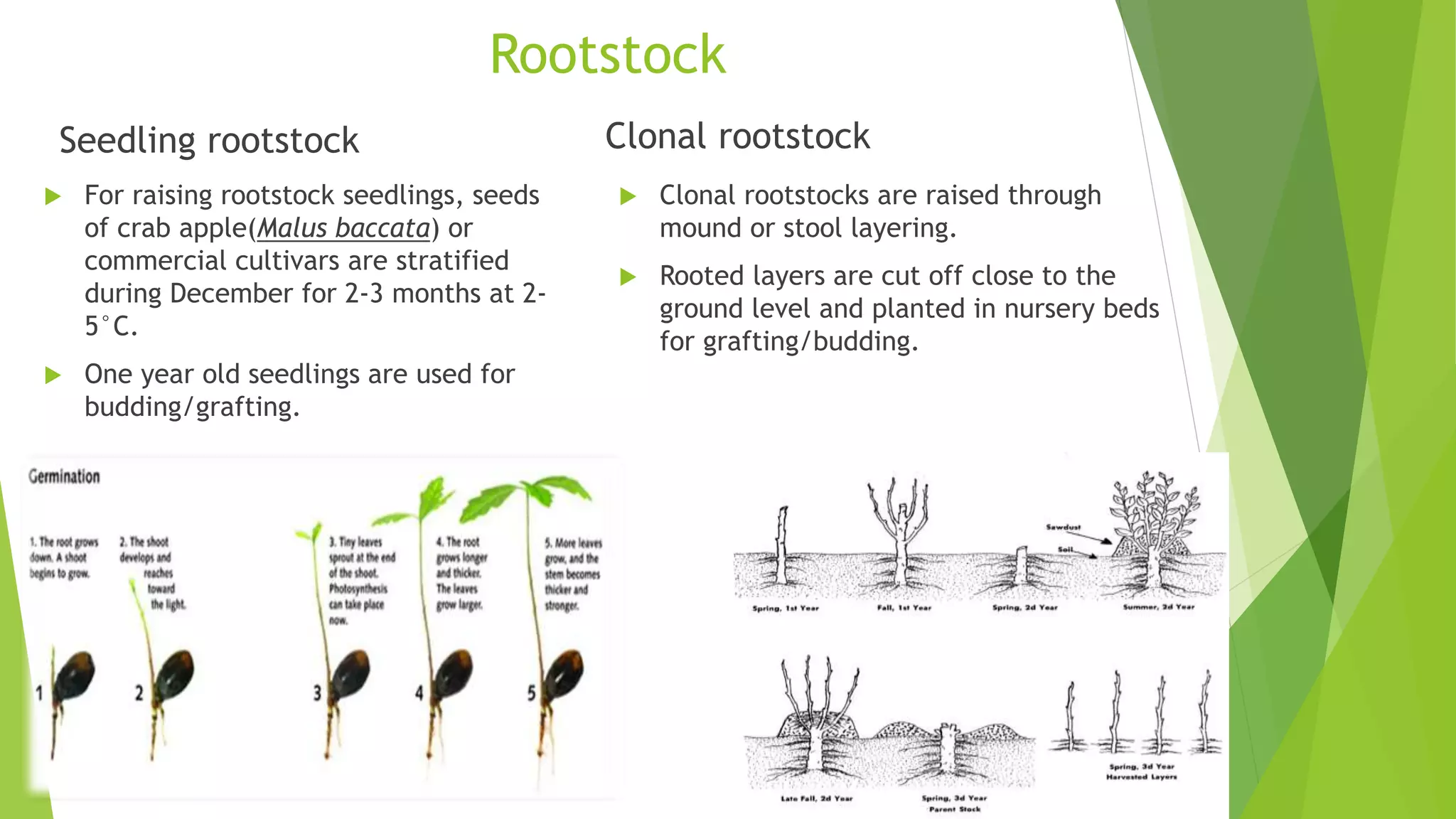 Slide 10