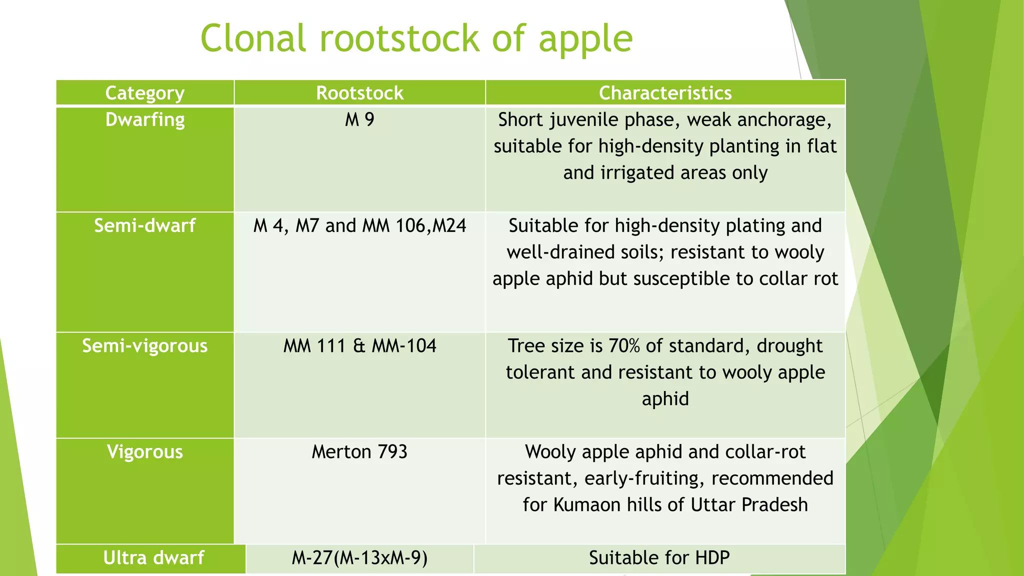 Slide 11