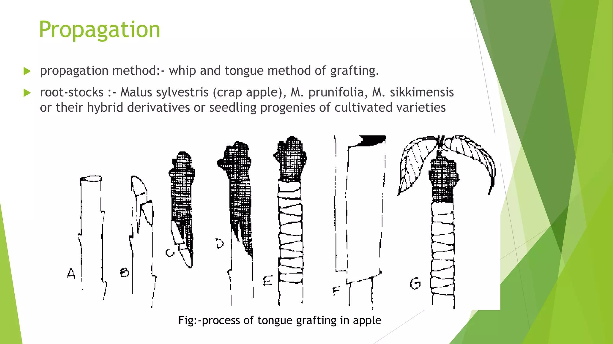 Slide 13