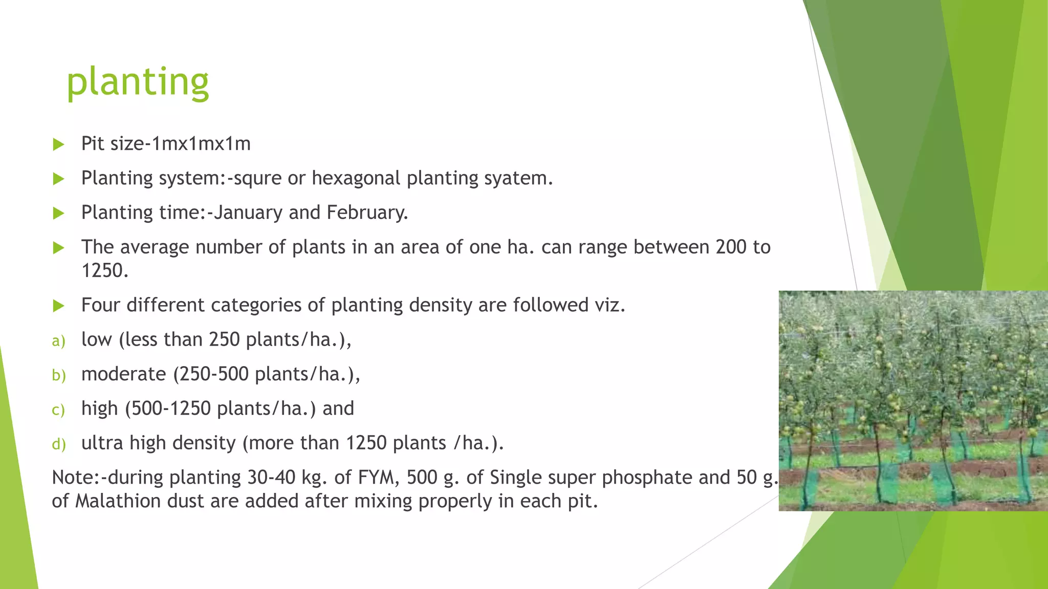 Slide 14