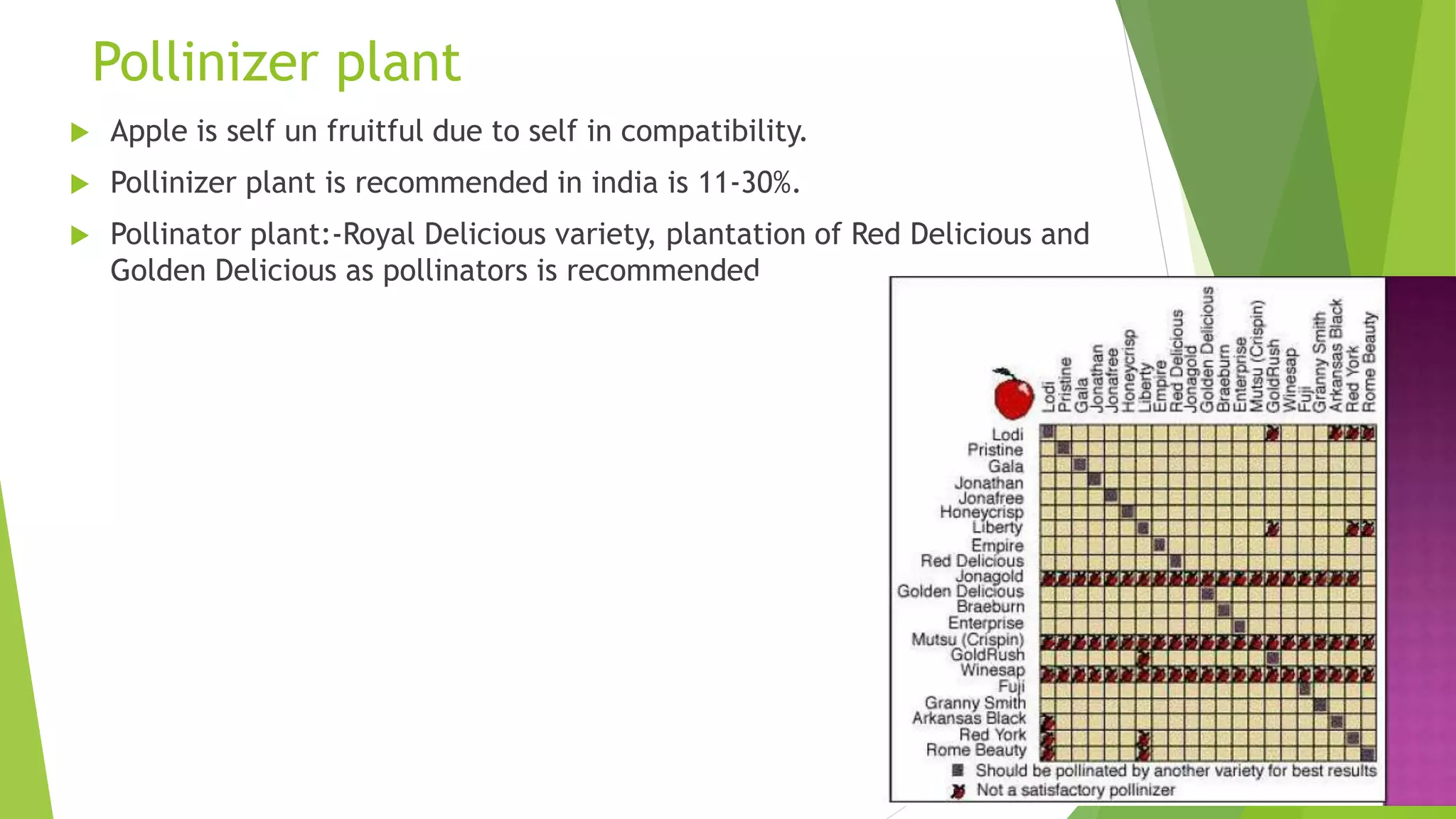 Slide 15