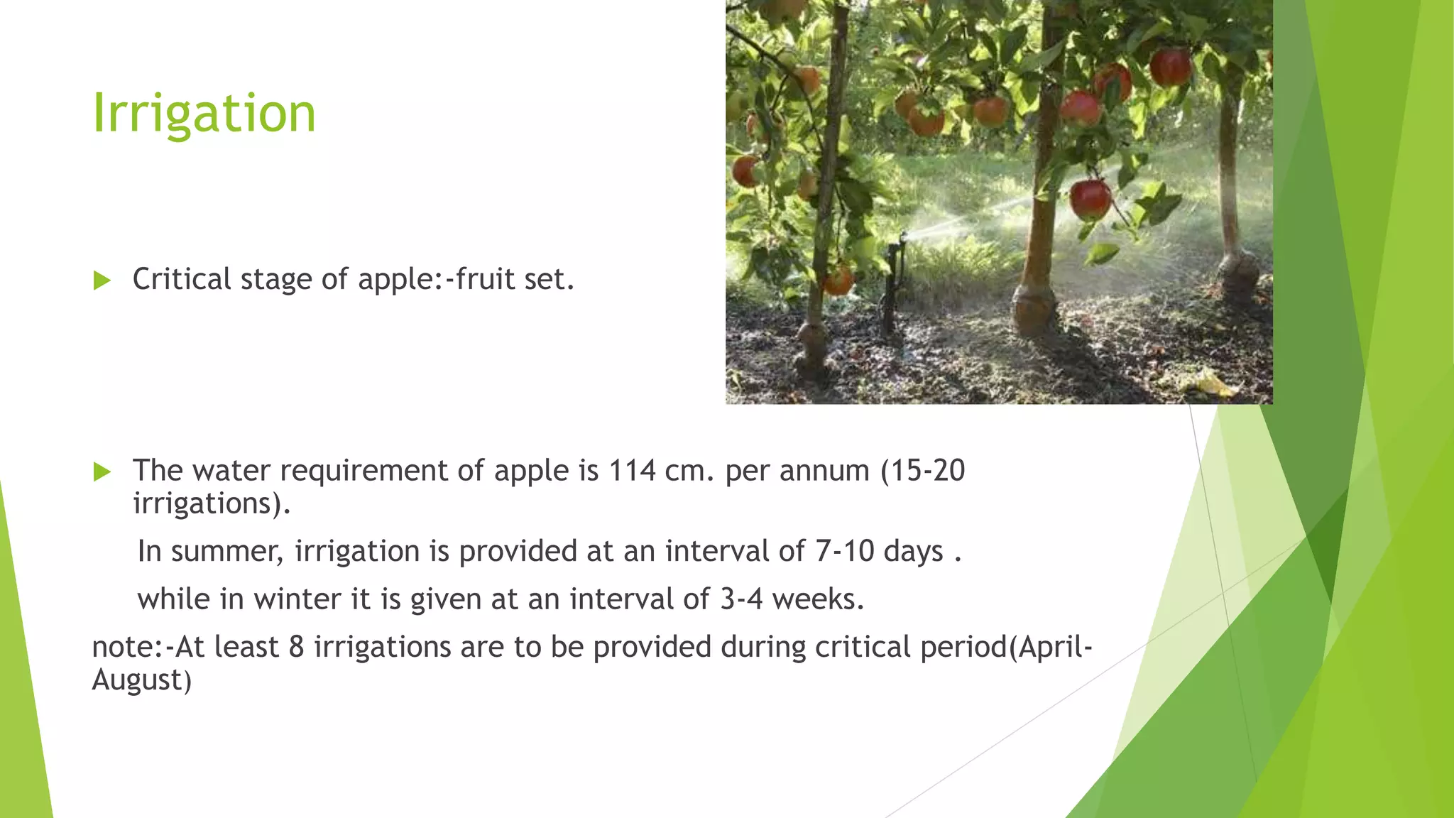Slide 17