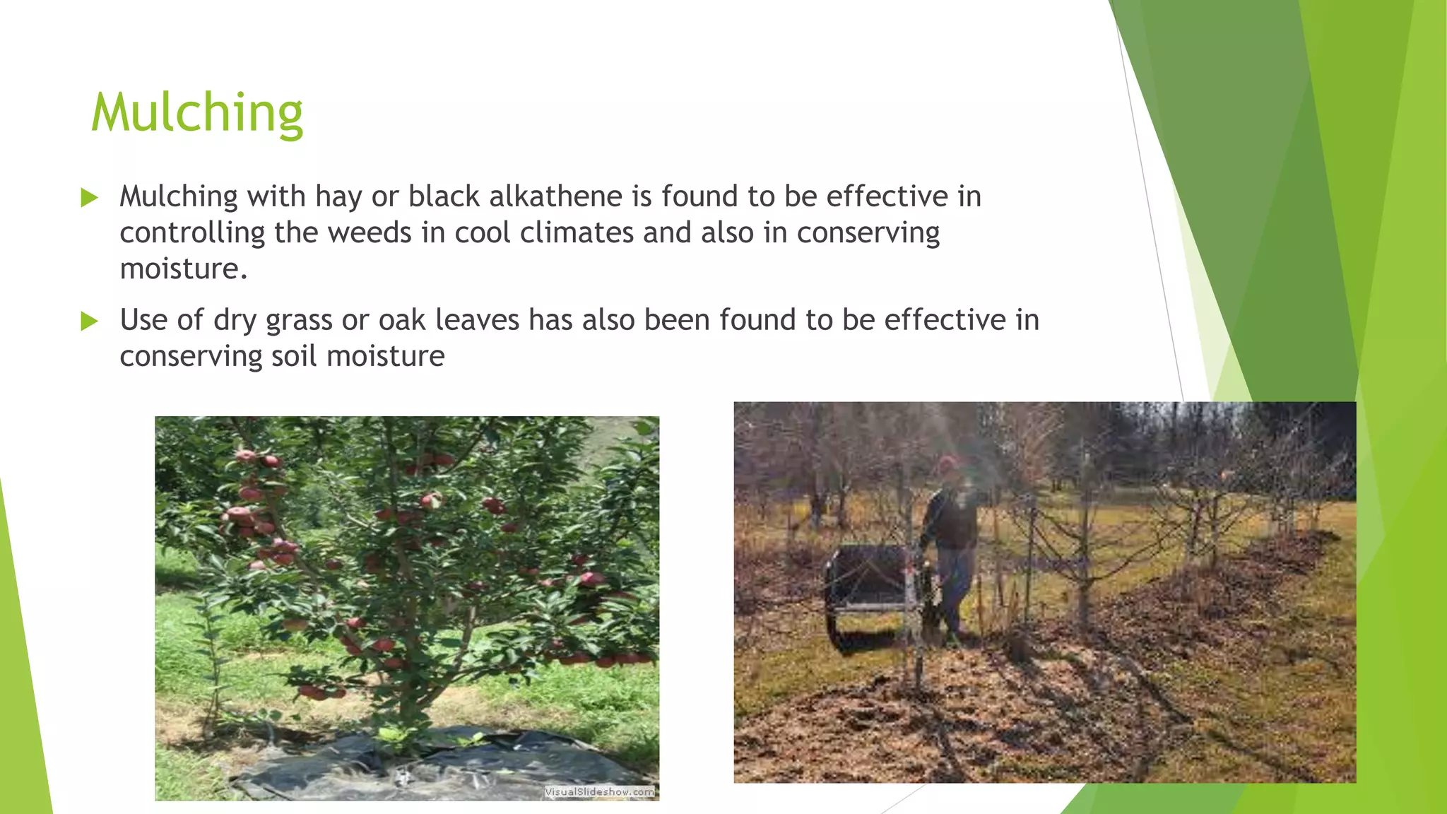 Slide 19