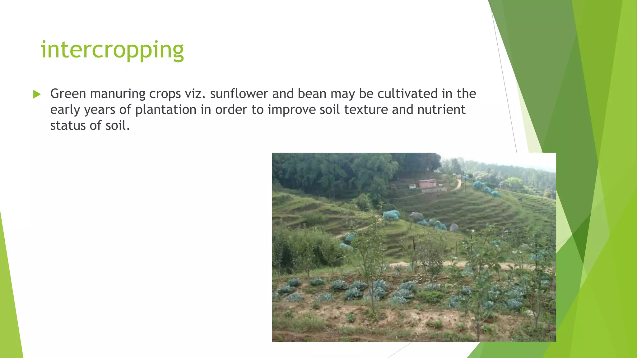 Slide 20