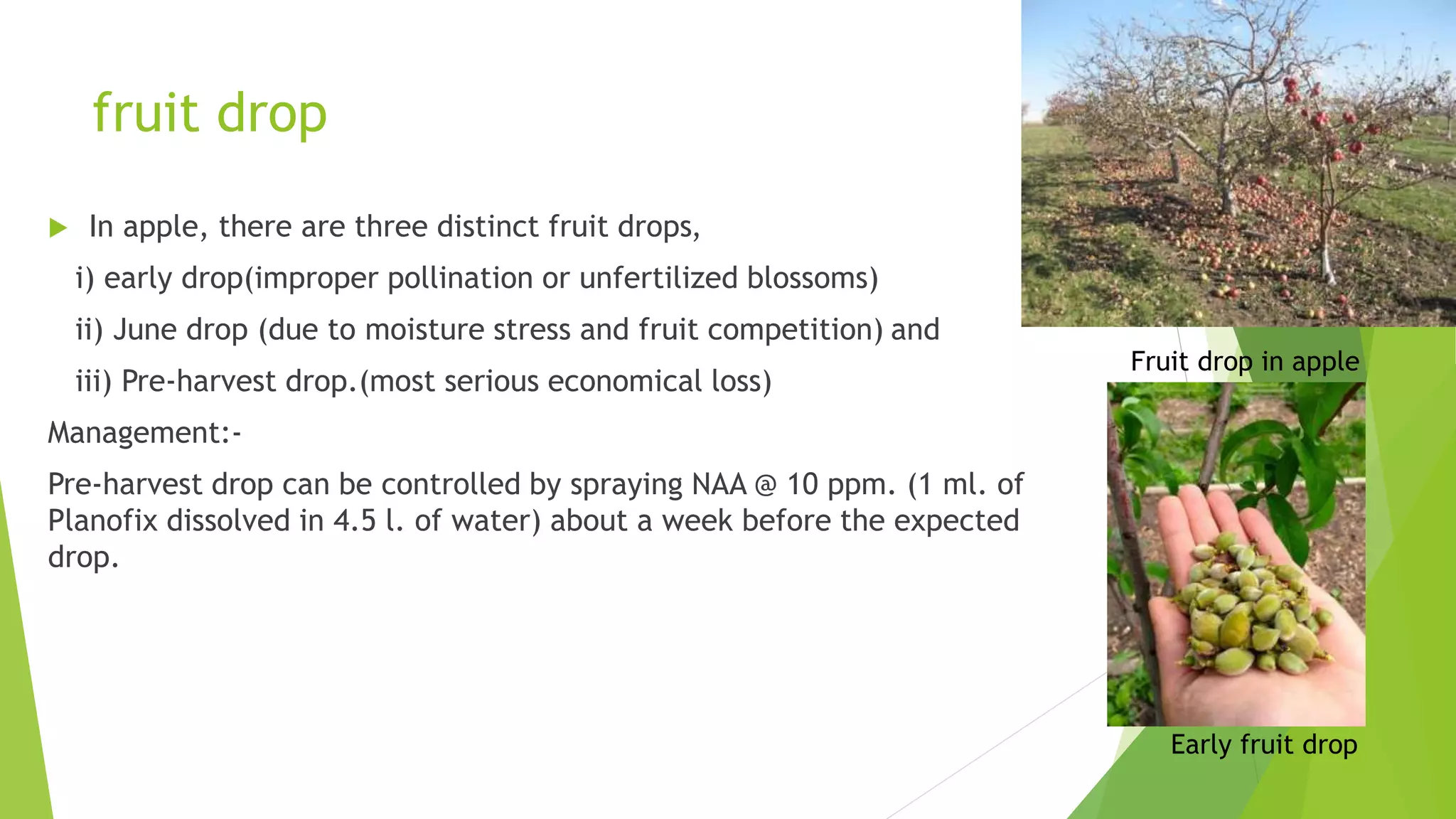 Slide 21