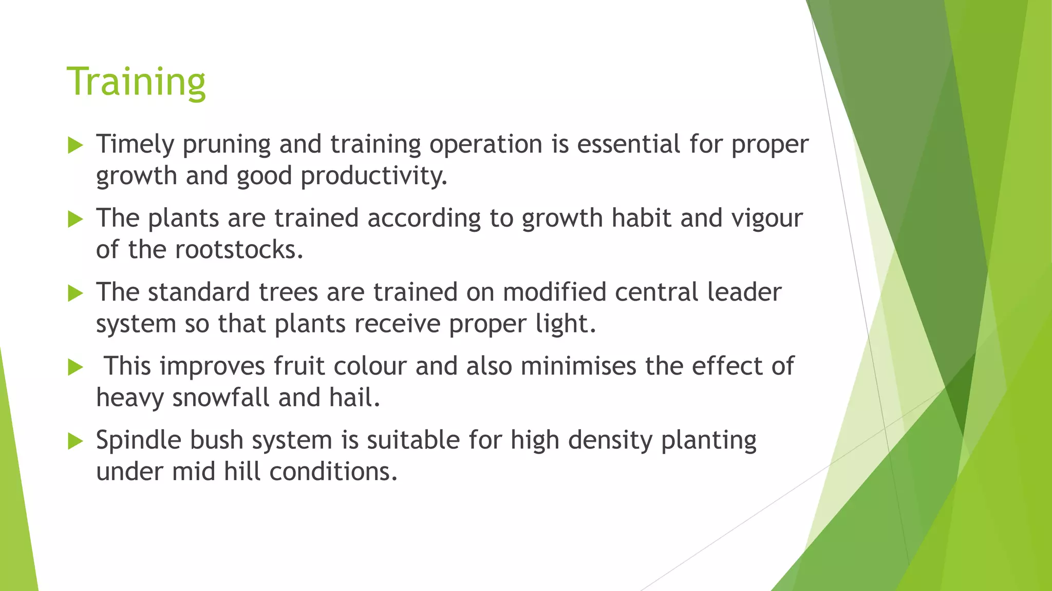 Slide 23