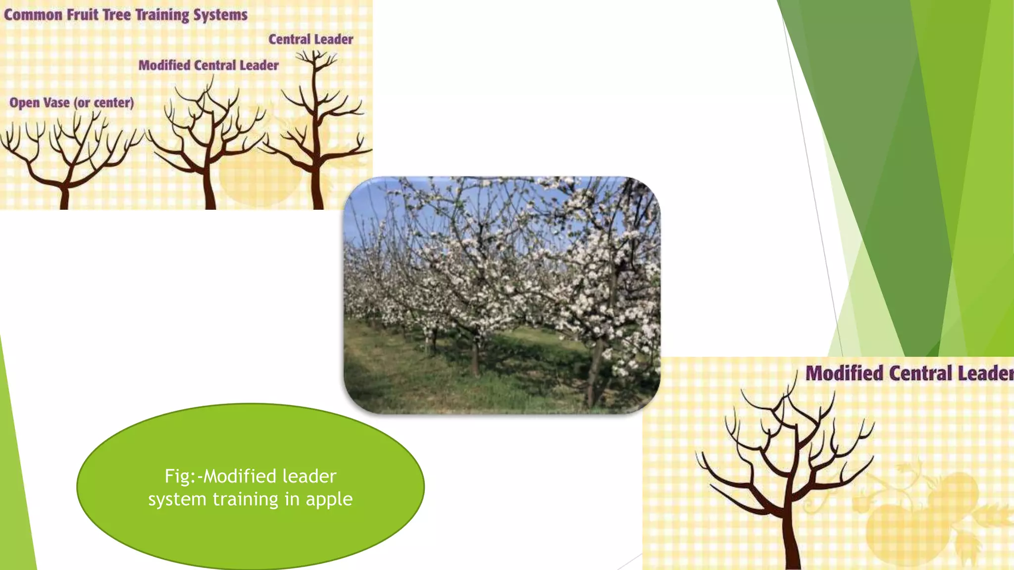 Slide 24