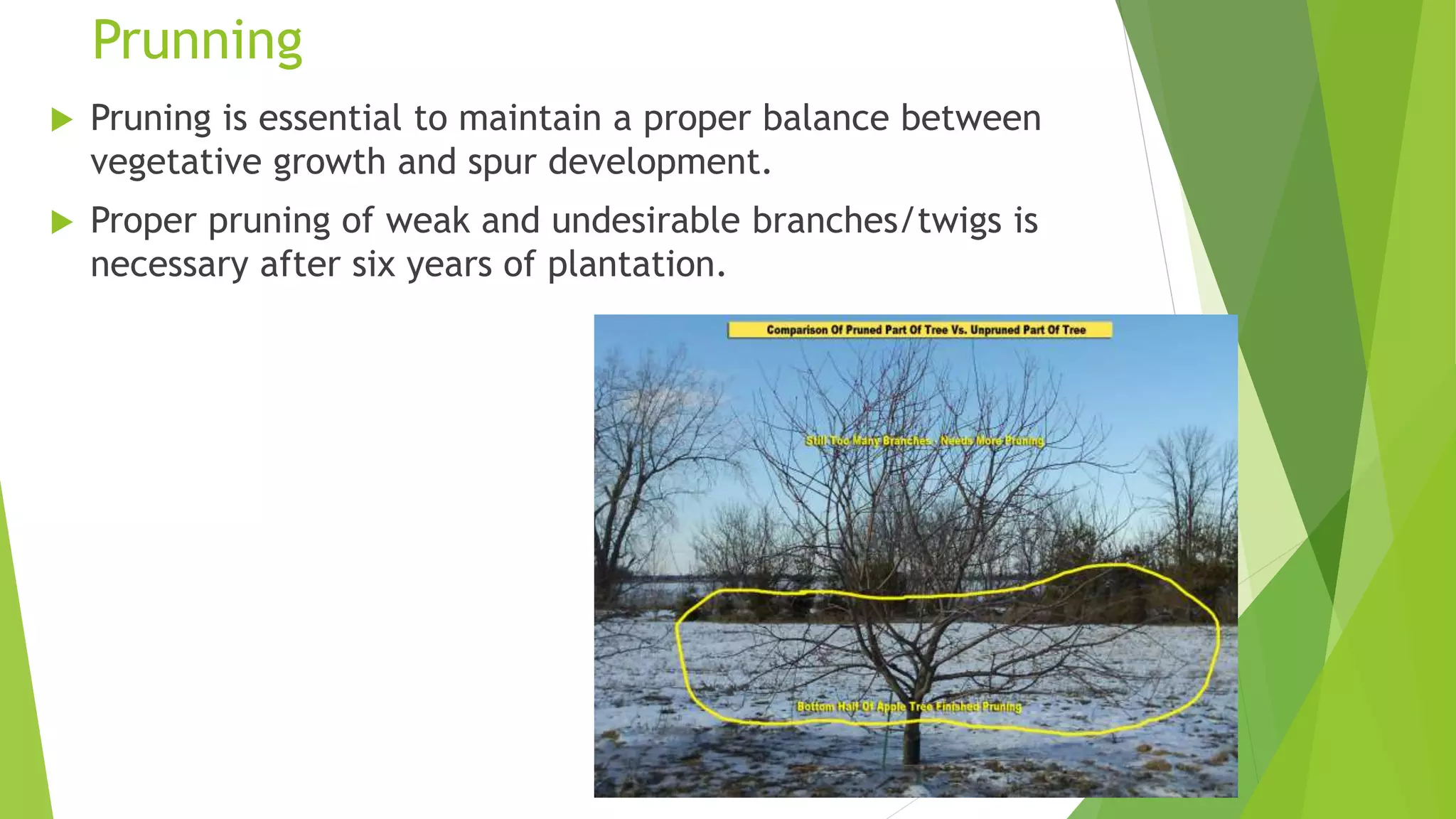 Slide 25