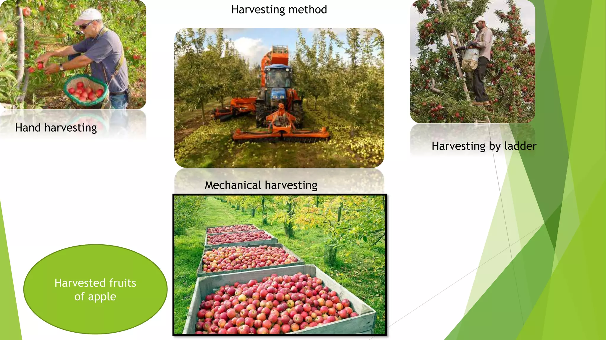 Slide 29