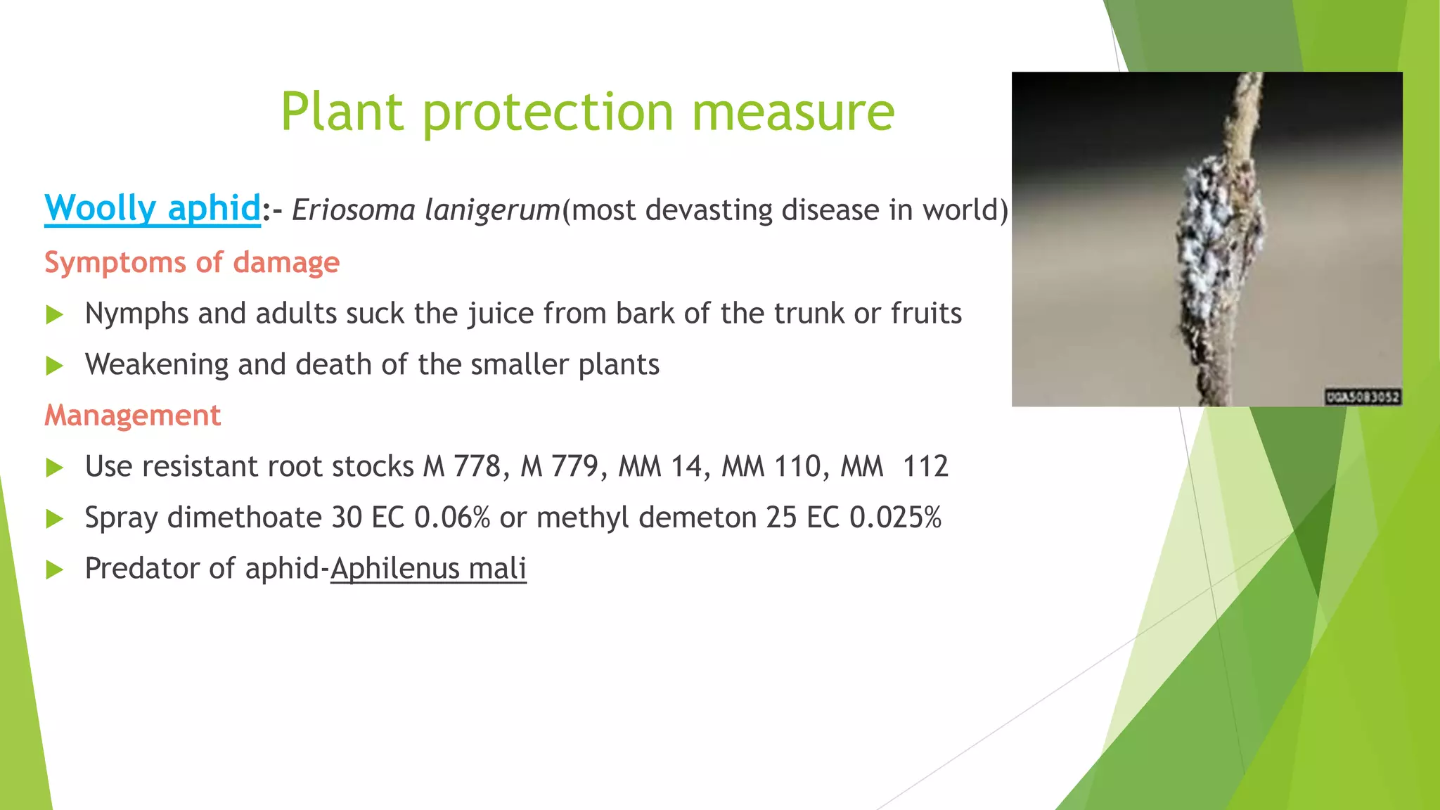 Slide 30