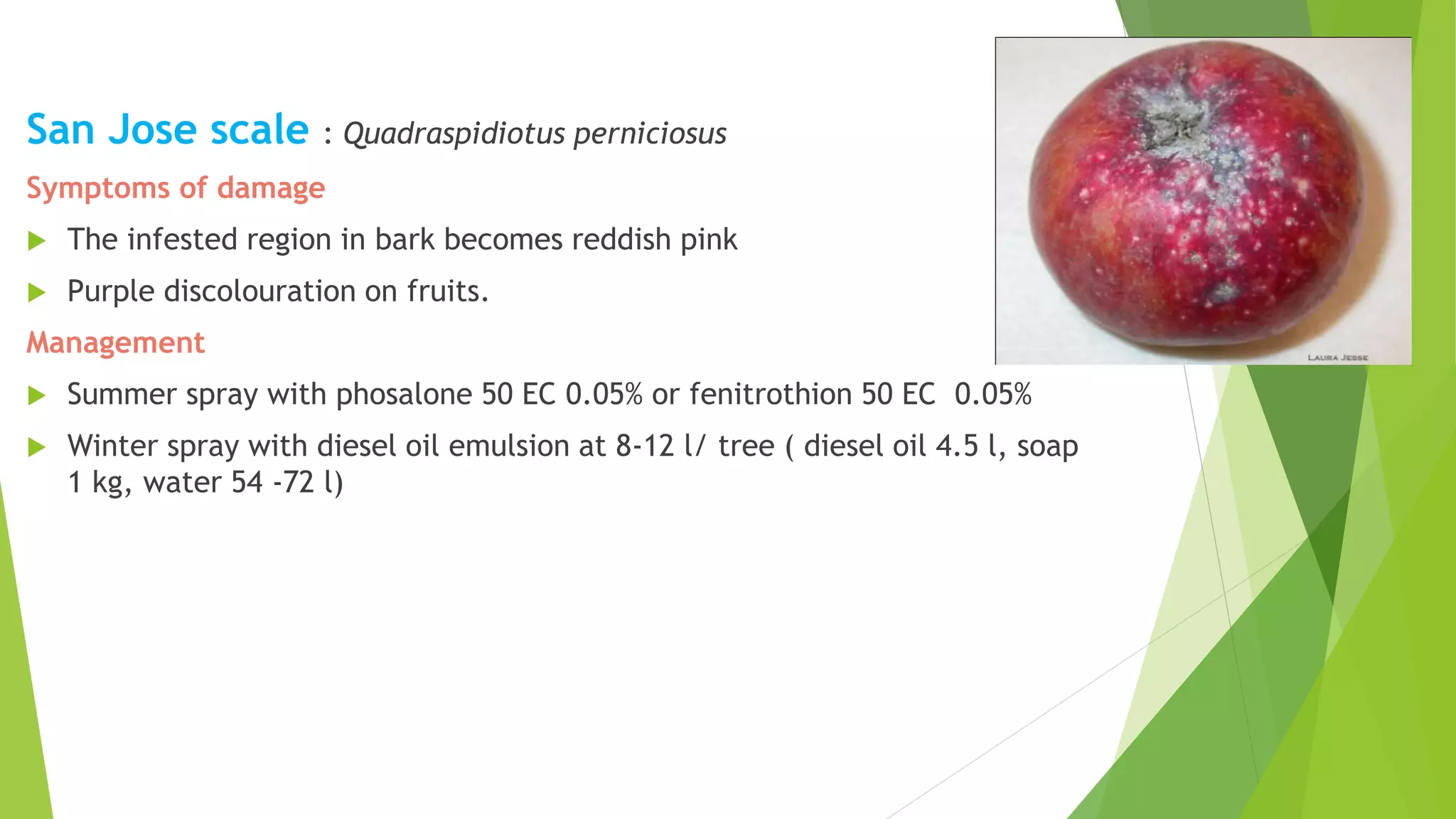 Slide 31