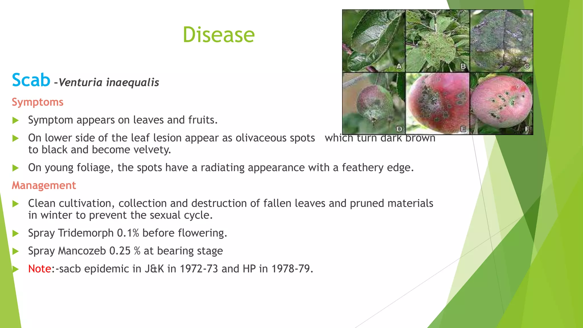 Slide 32