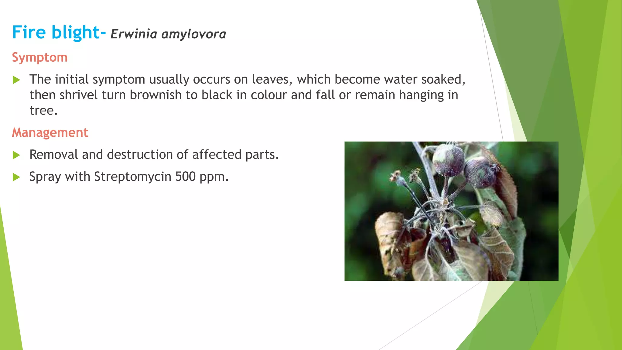 Slide 33