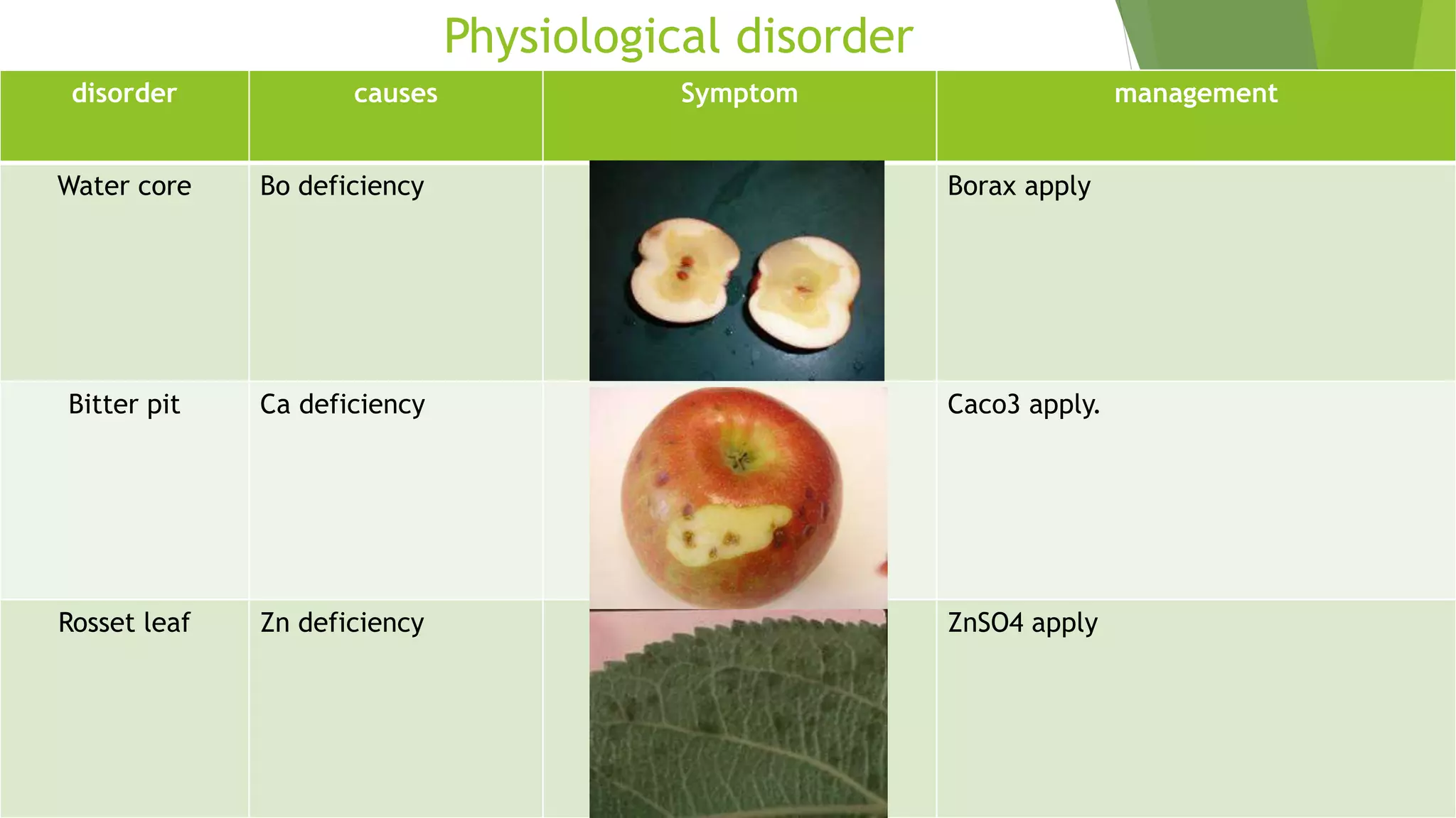 Slide 34