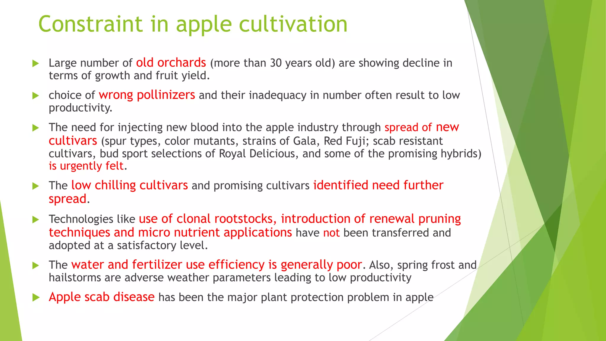 Slide 39