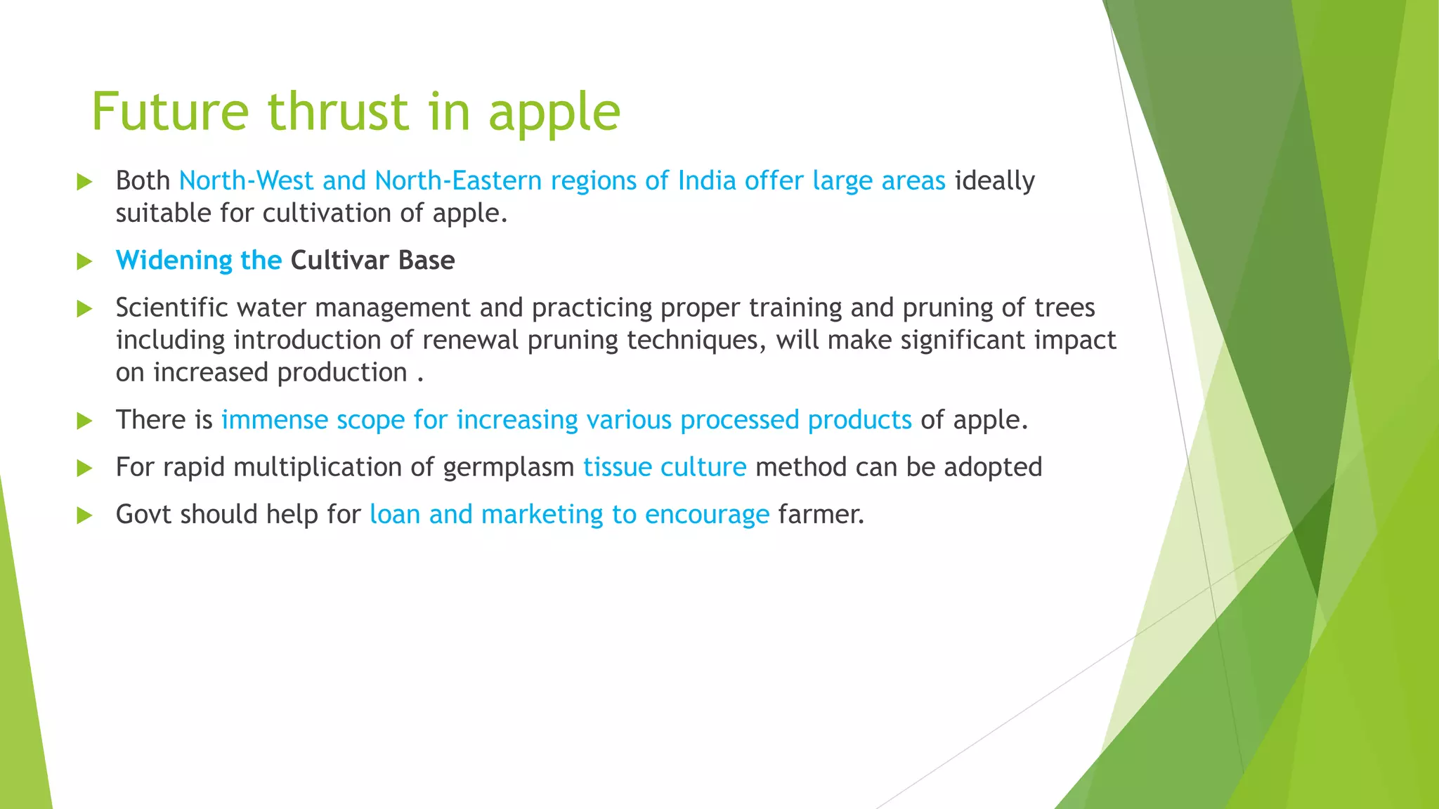 Slide 41